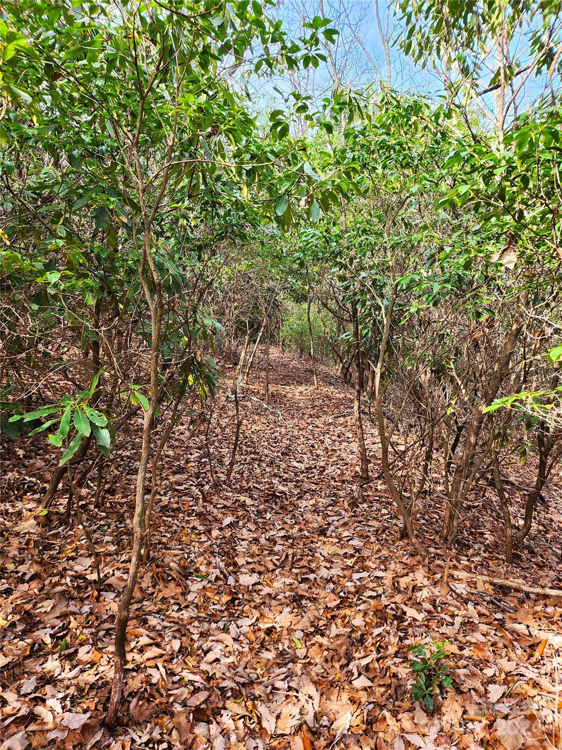 Lot 24 Lakeside Trail 24 Property Photo 7