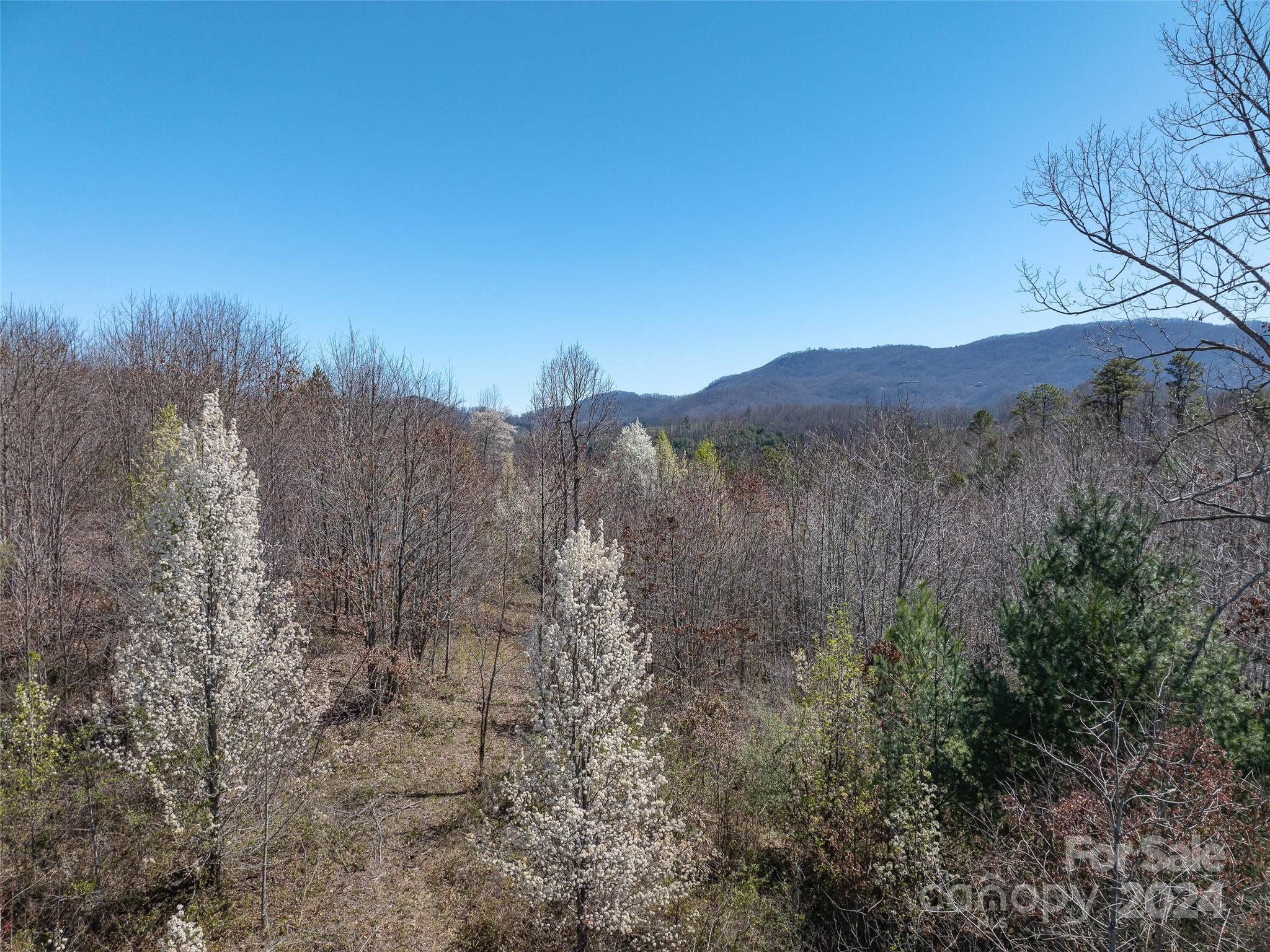 00 Woodland Drive Property Photo 6
