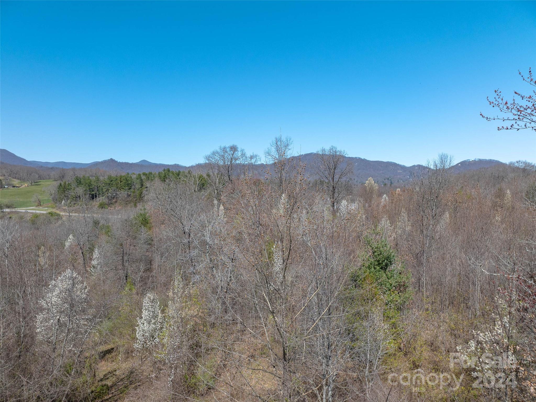 00 Woodland Drive Property Photo 7