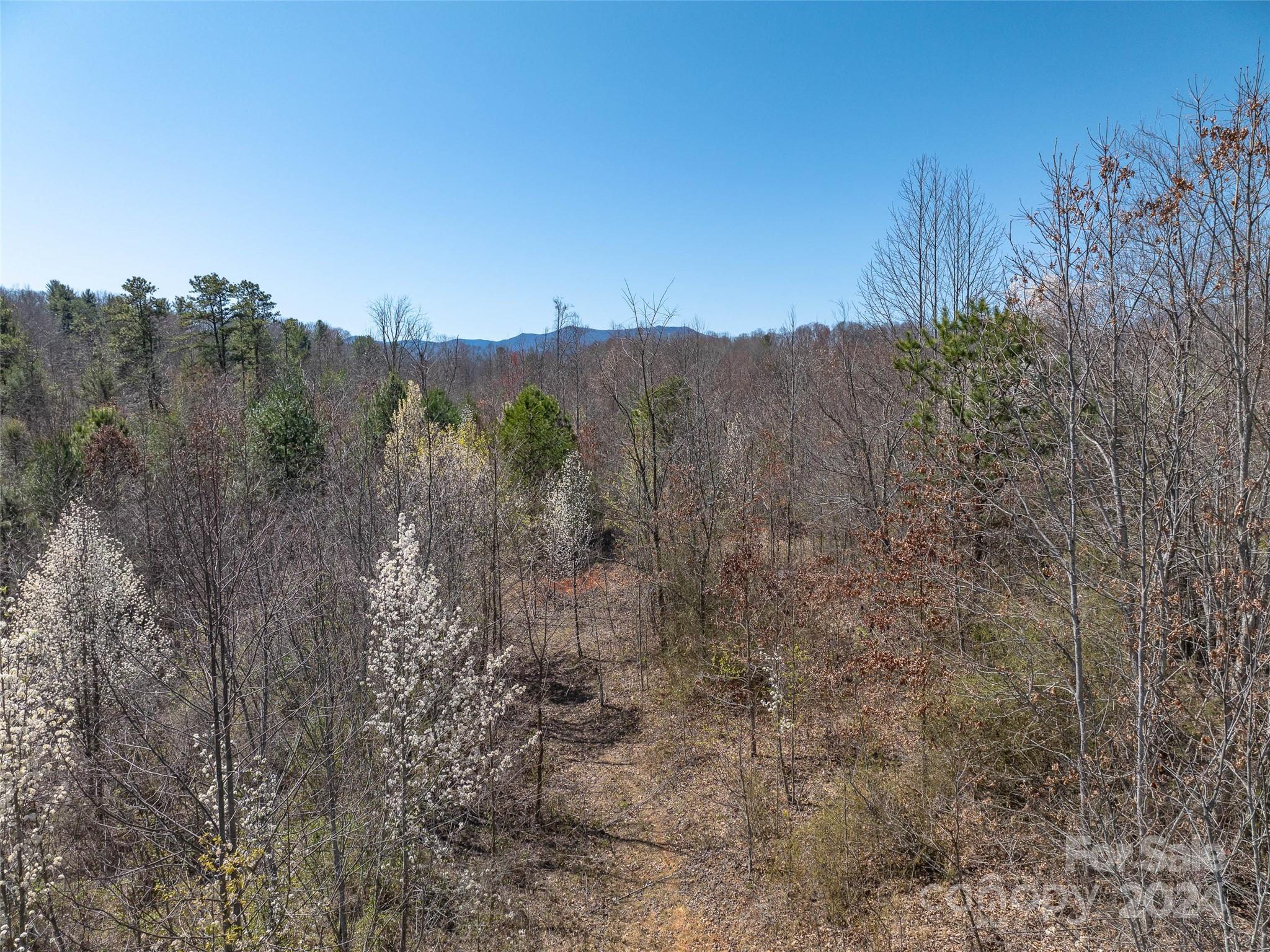 00 Woodland Drive Property Photo 8