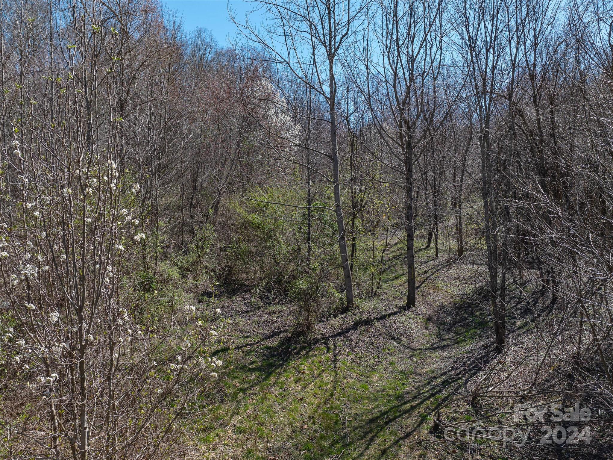 00 Woodland Drive Property Photo 9