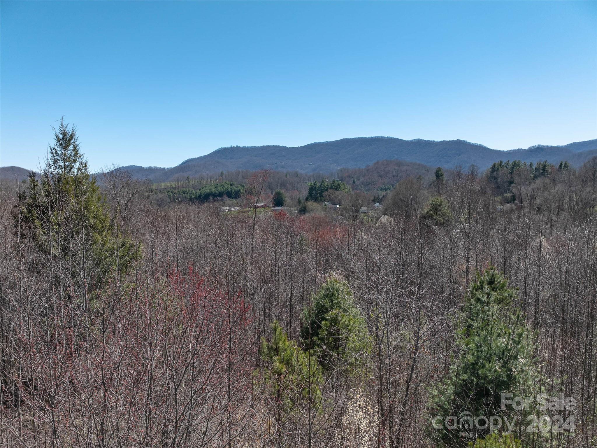 00 Woodland Drive Property Photo 11