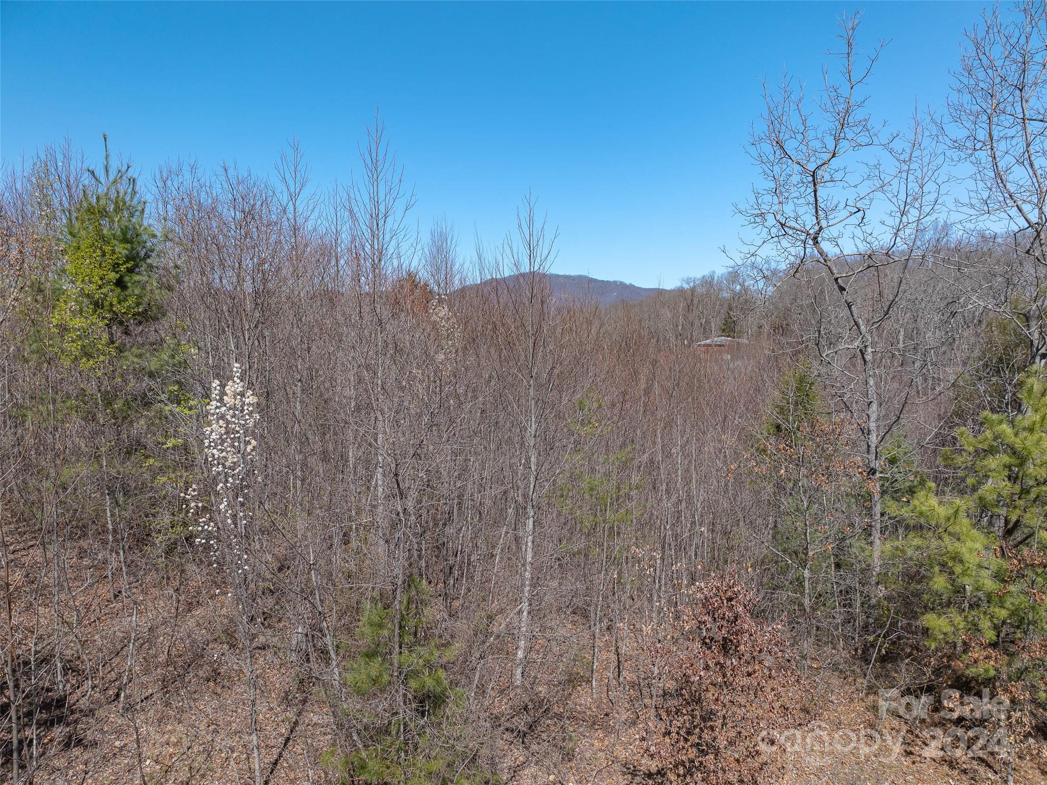 00 Woodland Drive Property Photo 12