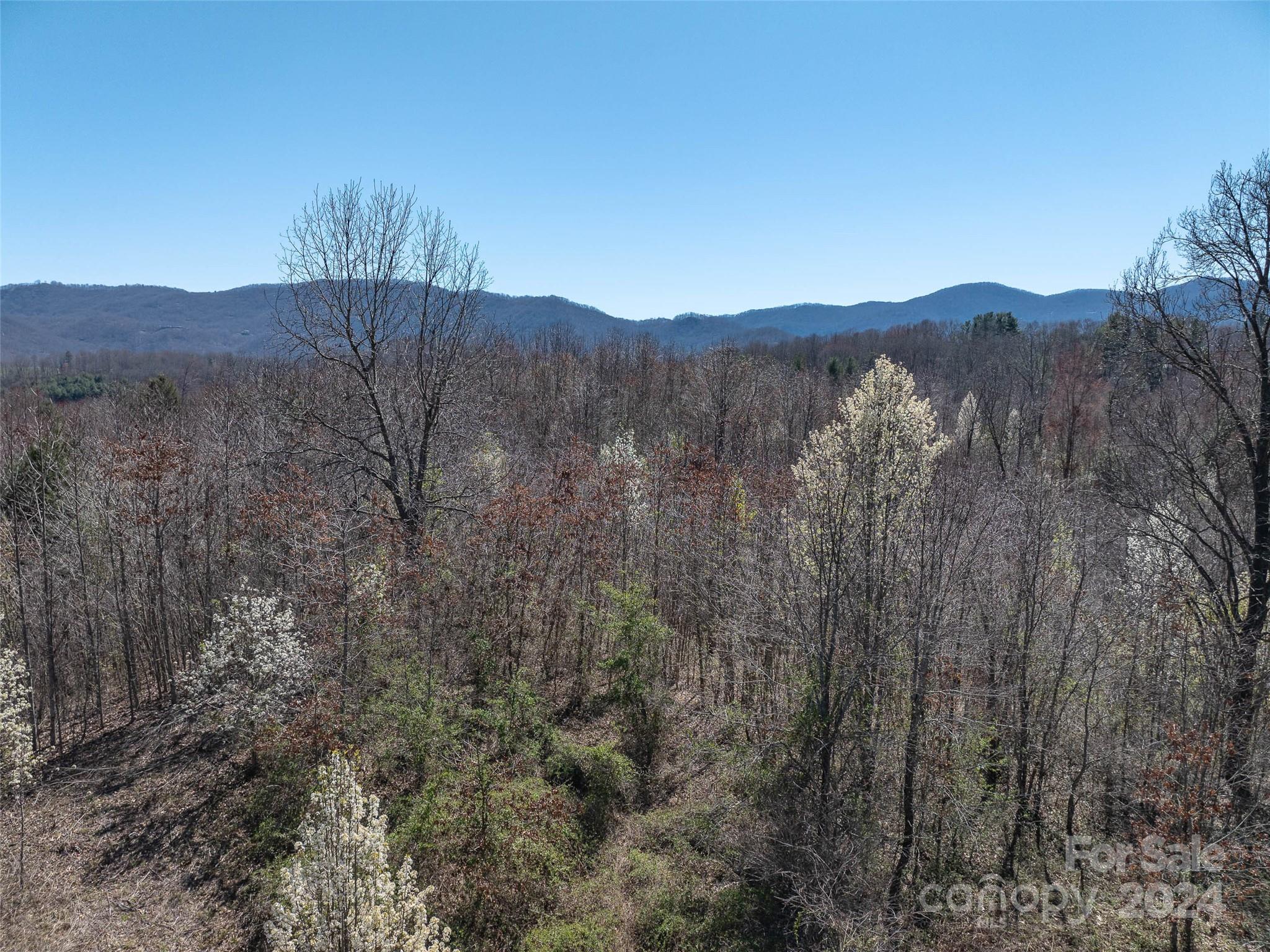 00 Woodland Drive Property Photo 13
