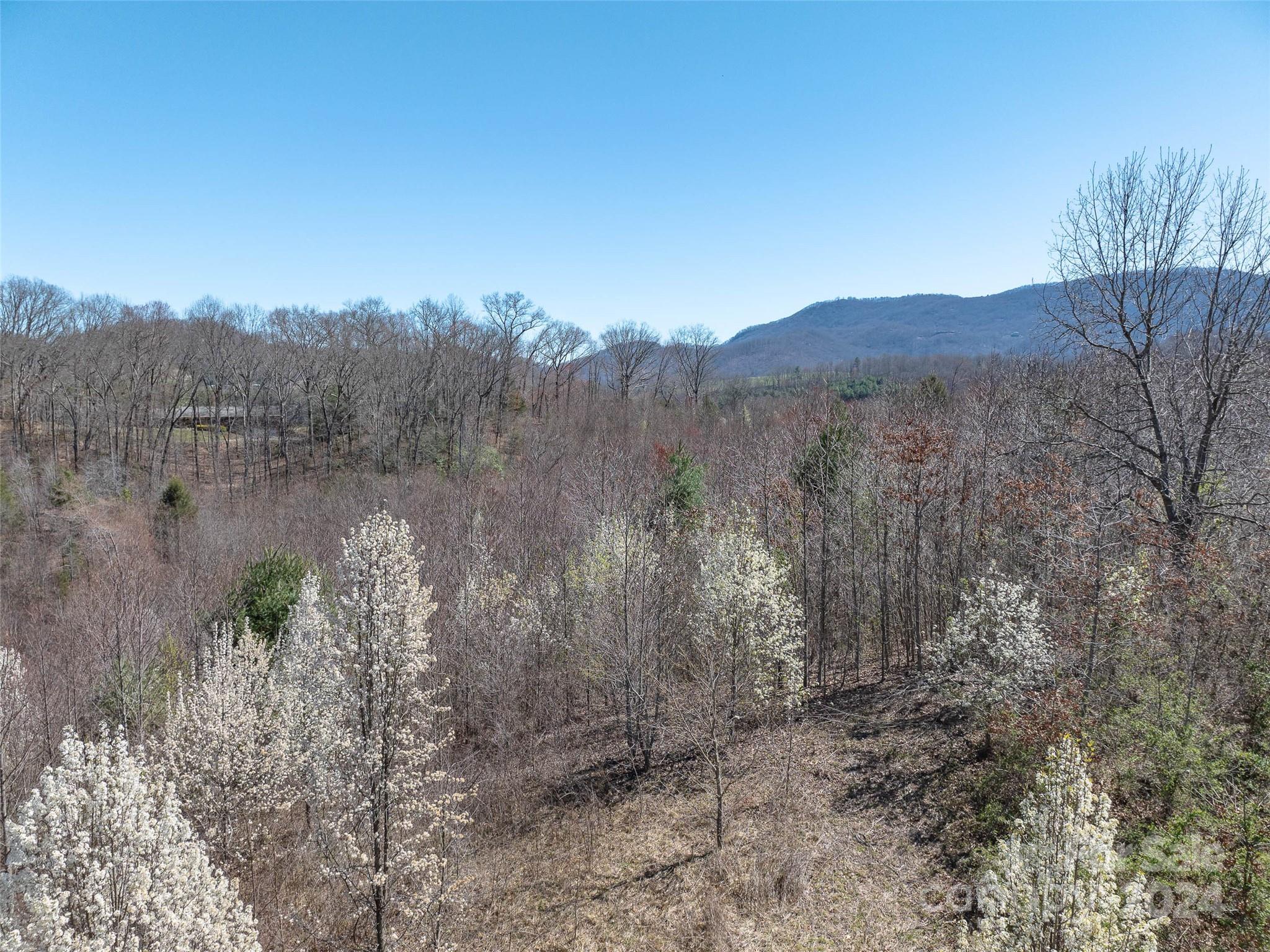 00 Woodland Drive Property Photo 14