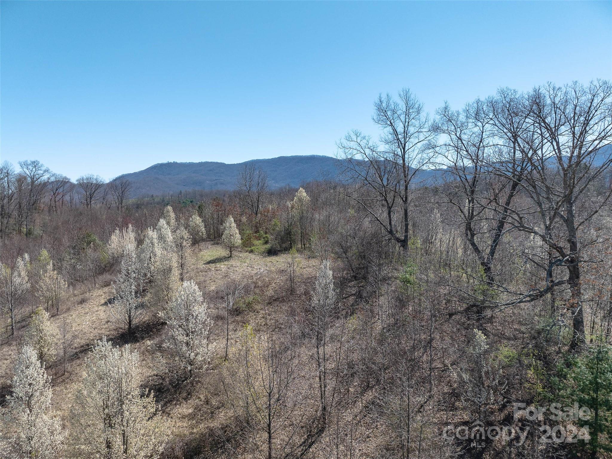 00 Woodland Drive Property Photo 18