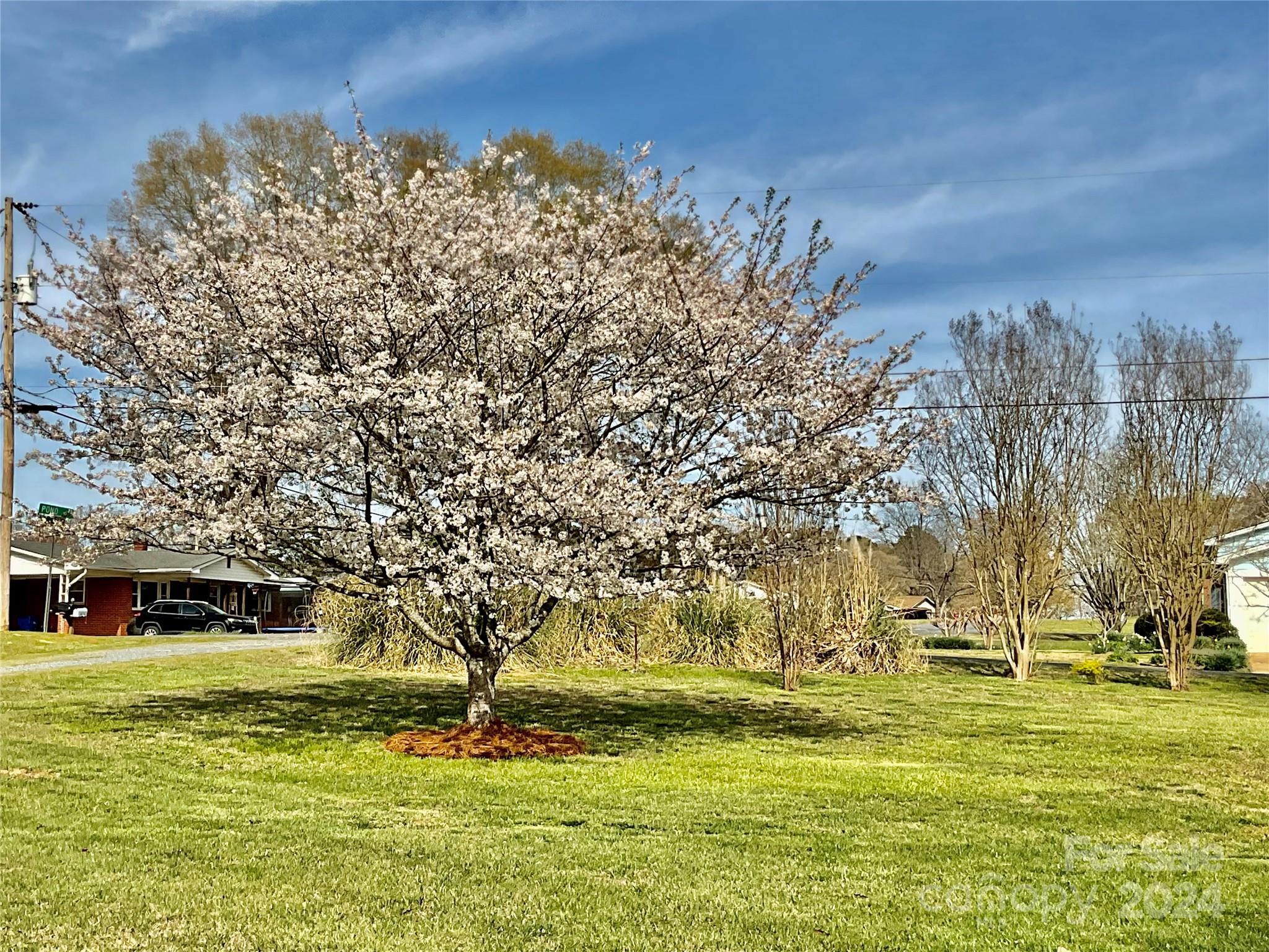 1960 Monza Drive Property Photo 25