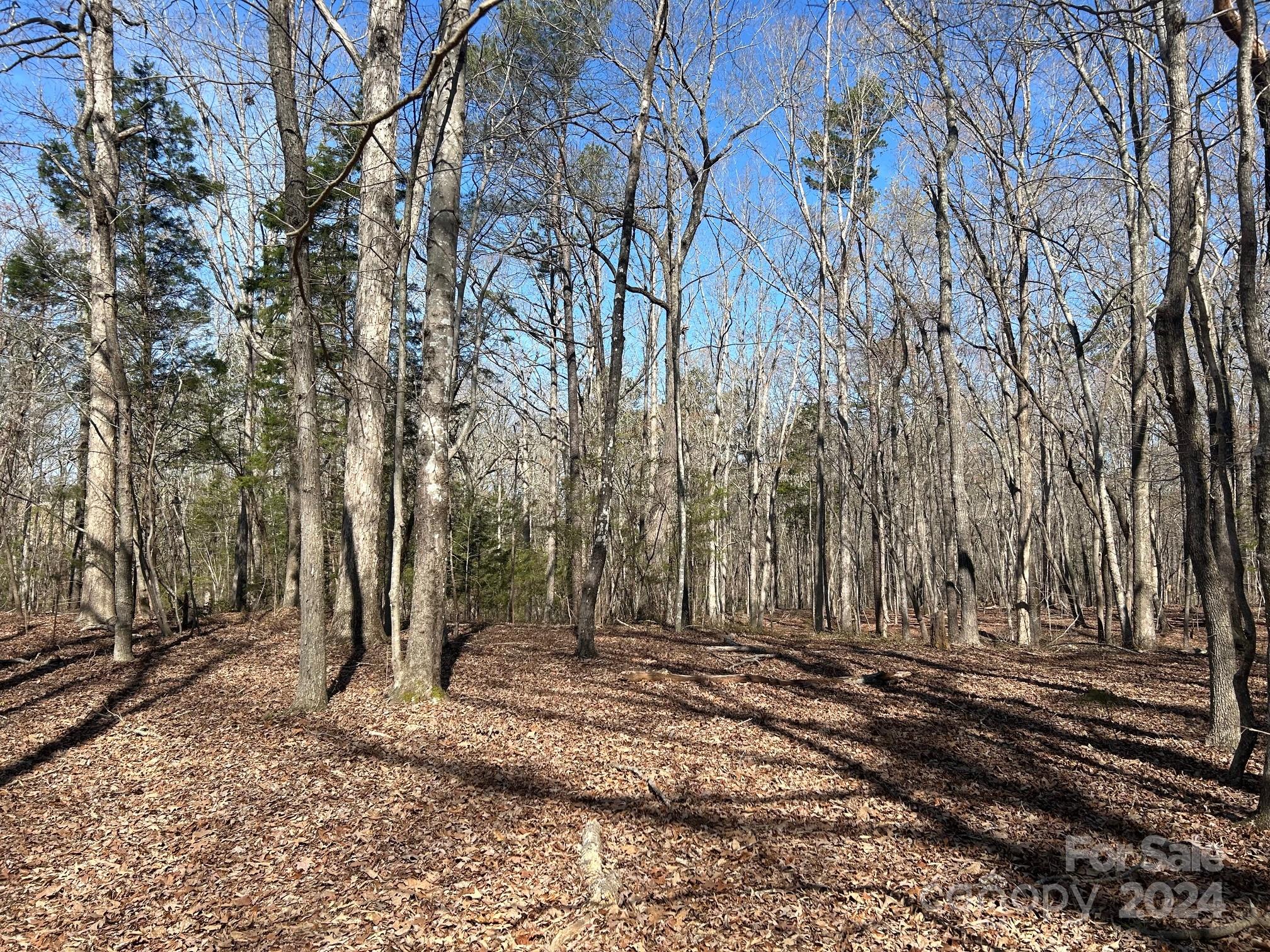 4 Ac Ashley Road Property Photo 1