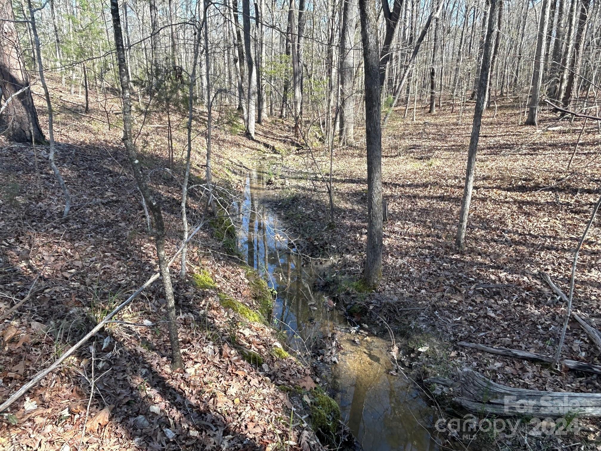 4 Ac Ashley Road Property Photo 16