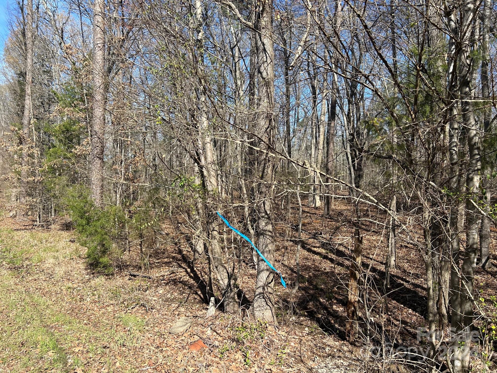 4 Ac Ashley Road Property Photo 31
