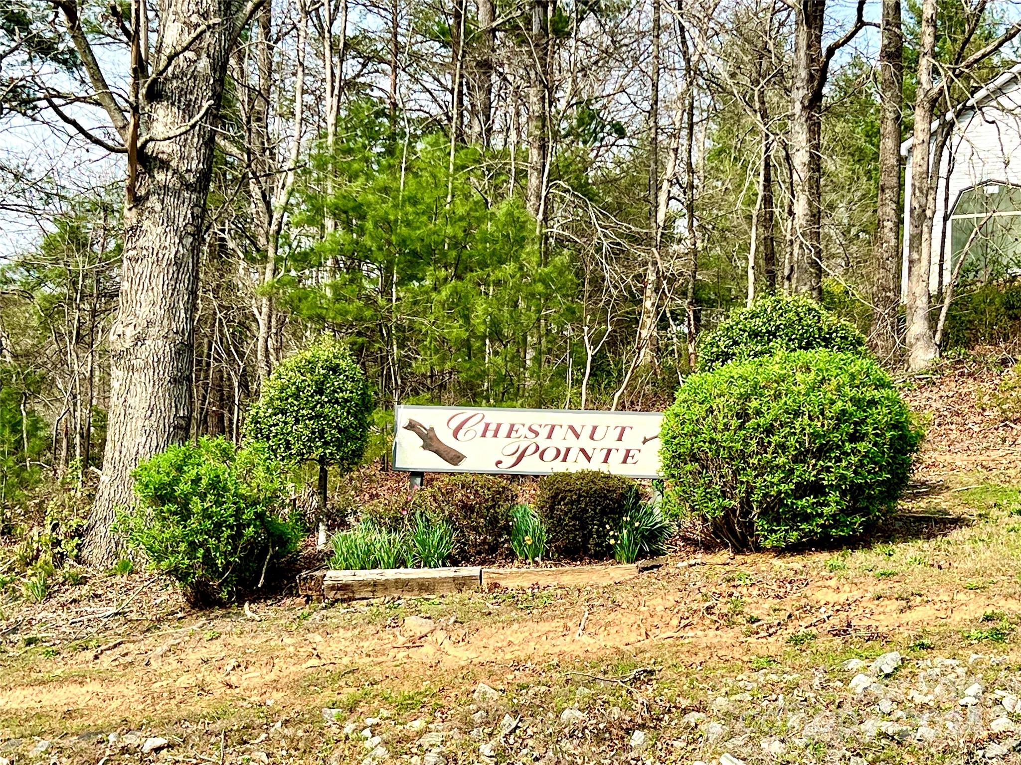 3114 Mountain Laurel Drive Property Photo 1