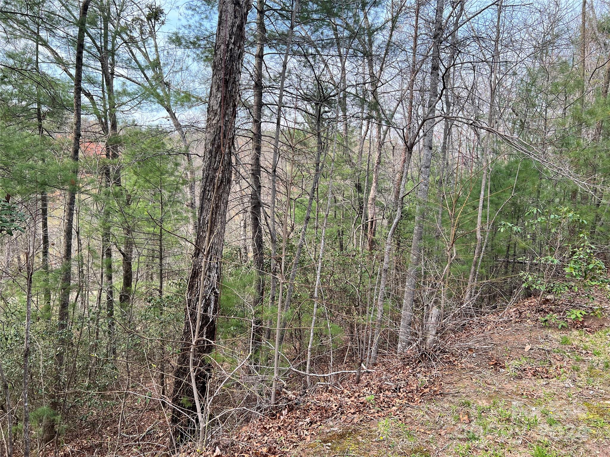 3114 Mountain Laurel Drive Property Photo 3