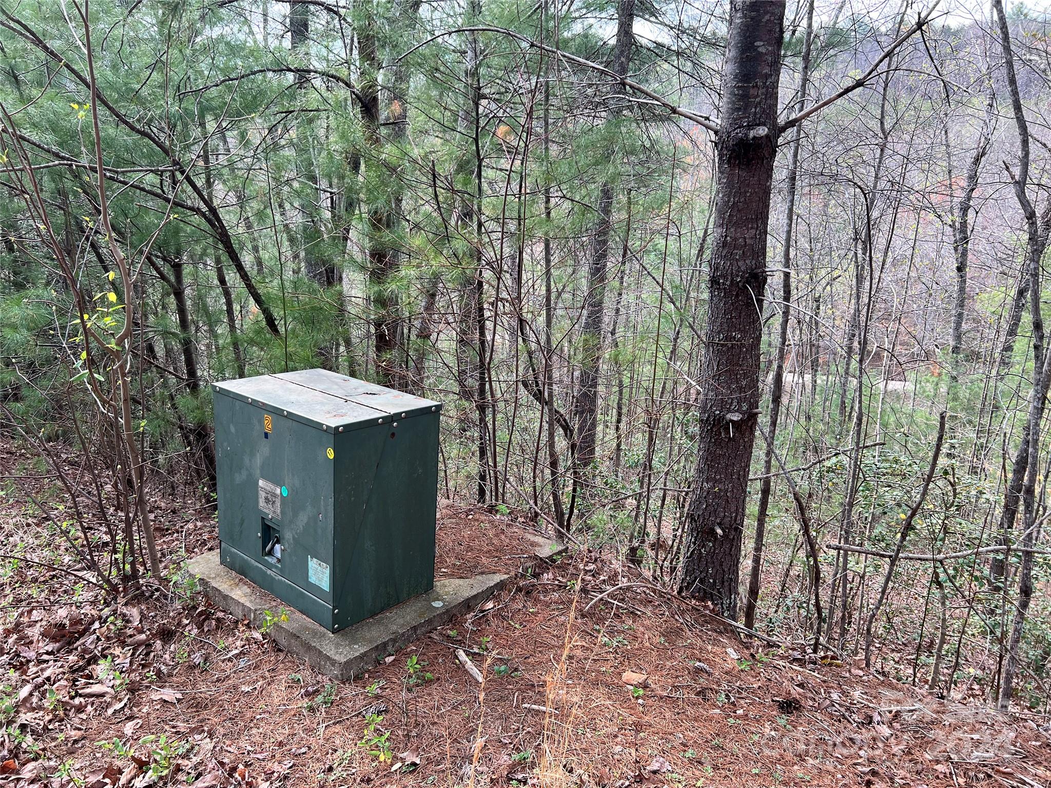 3114 Mountain Laurel Drive Property Photo 4