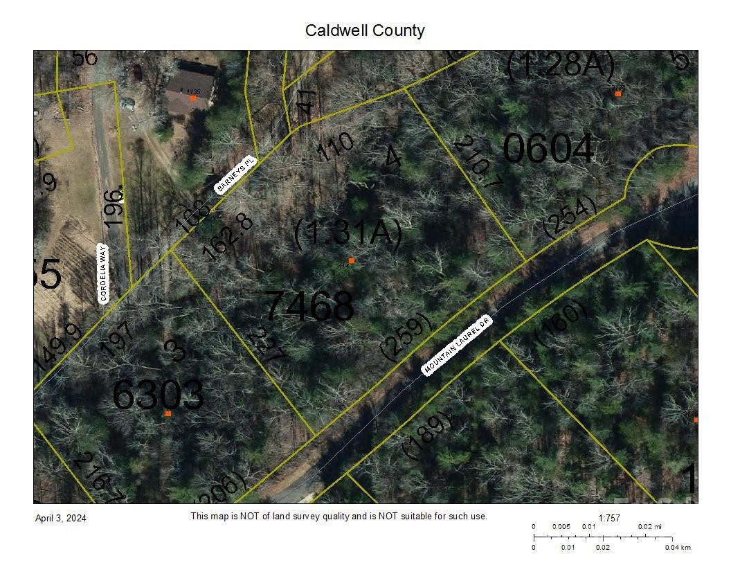 3114 Mountain Laurel Drive Property Photo 5