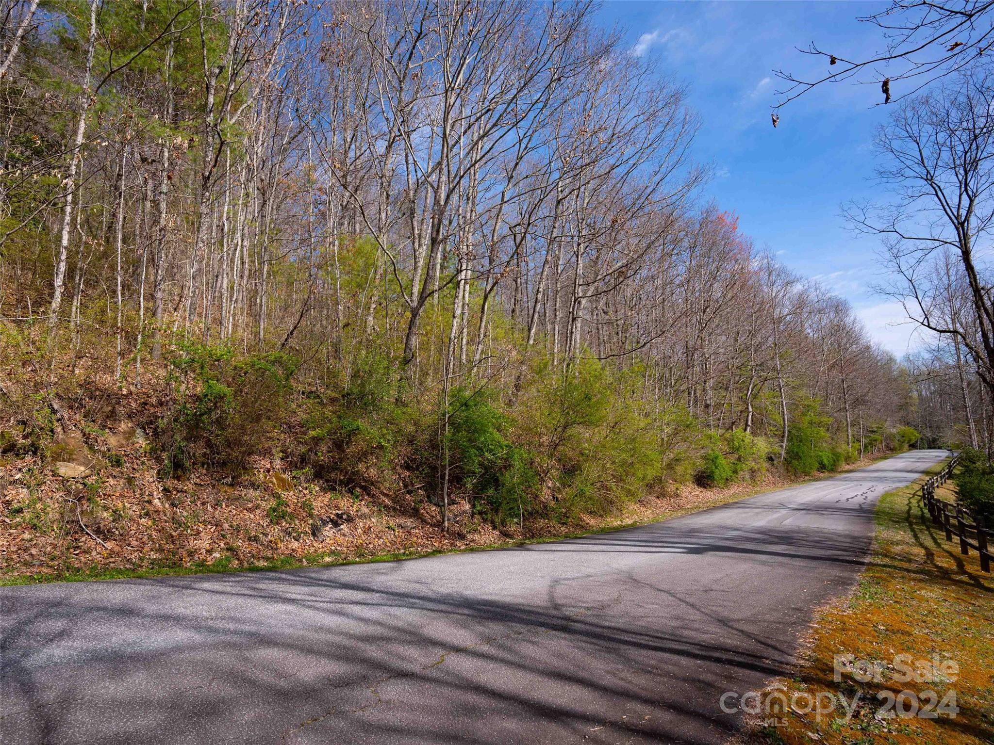 Lot 29 Connemara Overlook Drive Property Photo 1