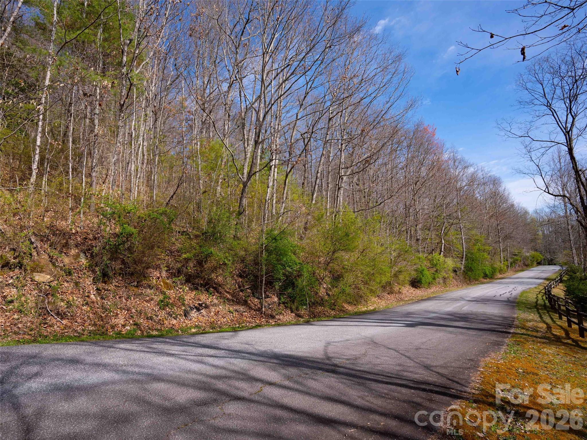 Lot 29 Connemara Overlook Drive Property Photo 1