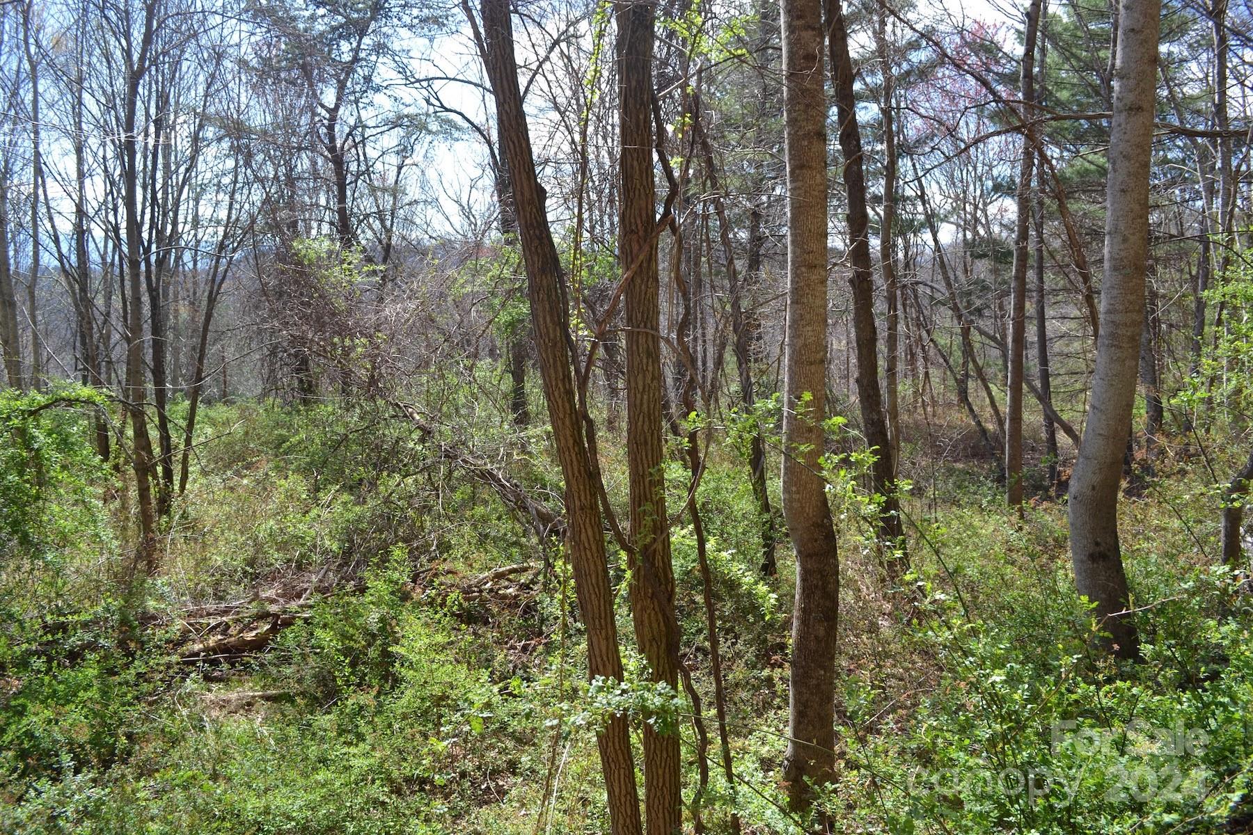 Lot 8 Town Mountain Road Property Photo 5
