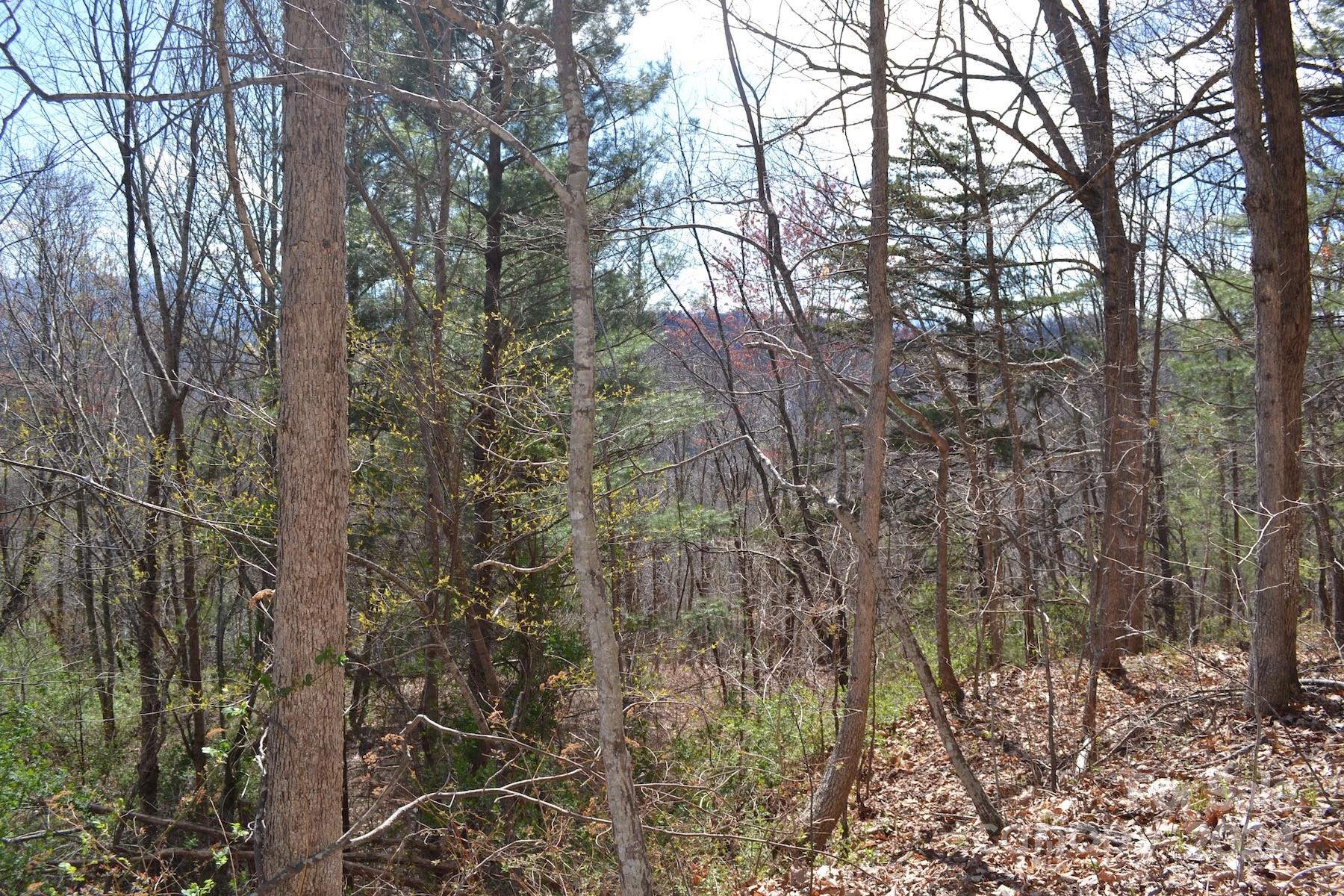 Lot 8 Town Mountain Road Property Photo 6