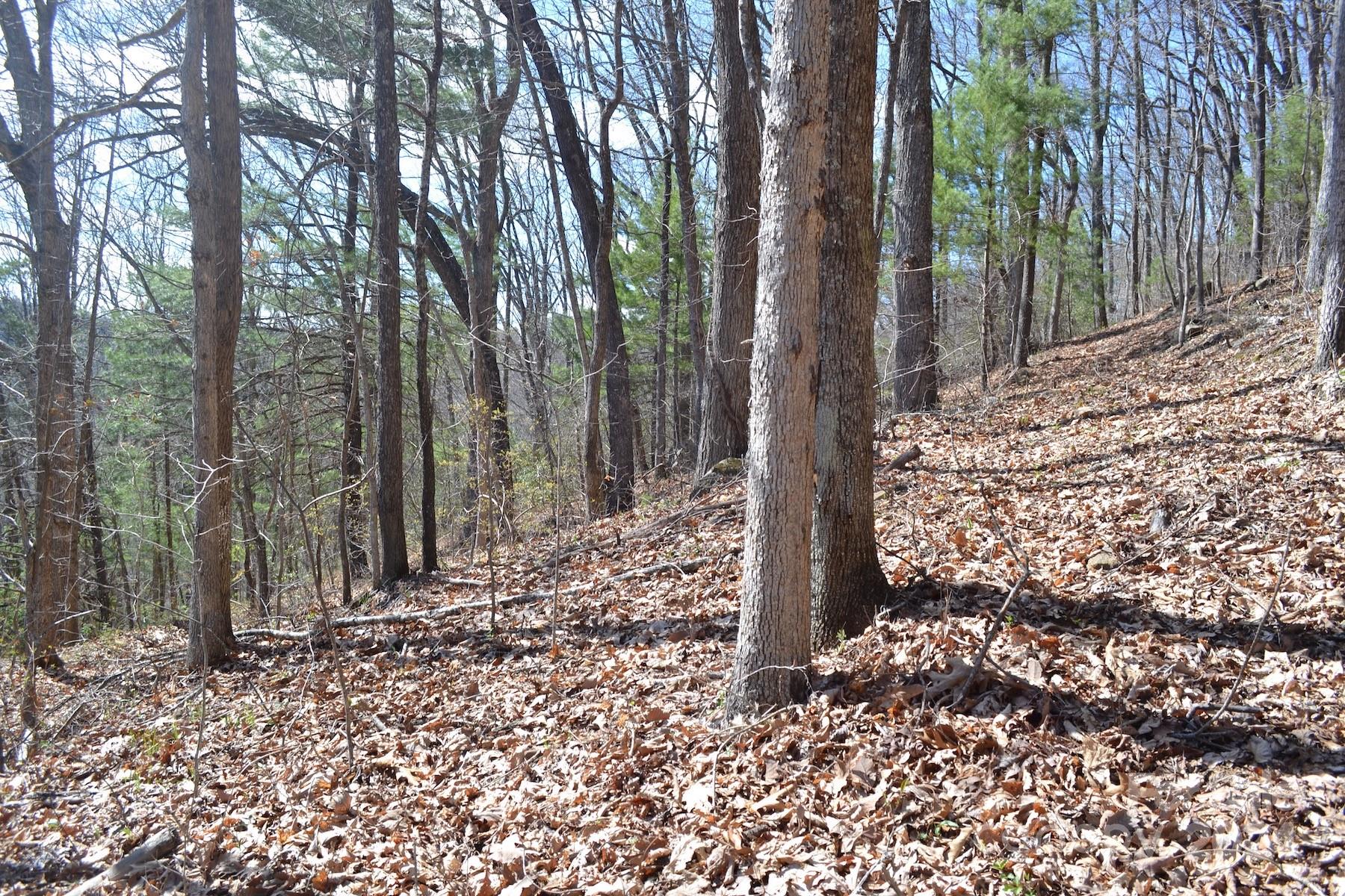 Lot 8 Town Mountain Road Property Photo 7