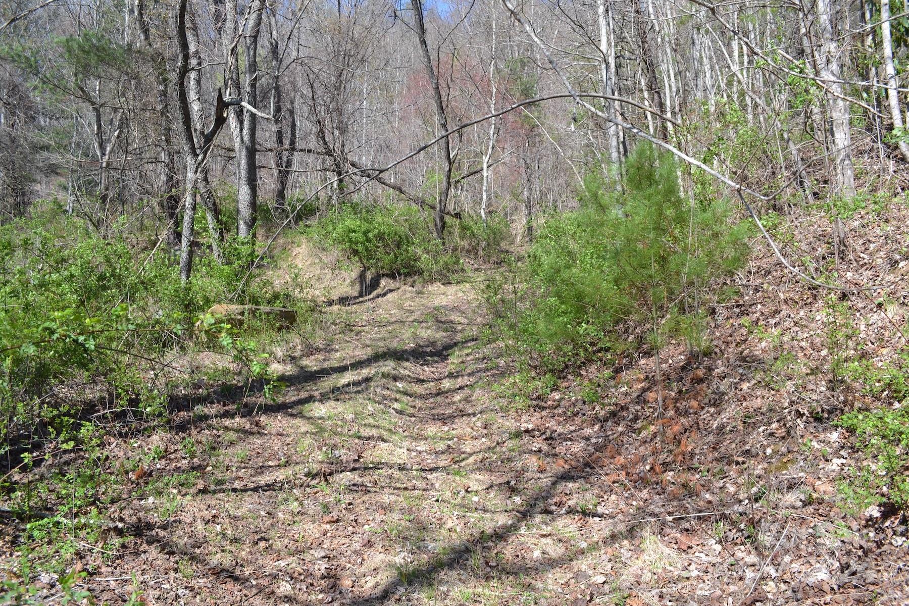 Lot 8 Town Mountain Road Property Photo 8