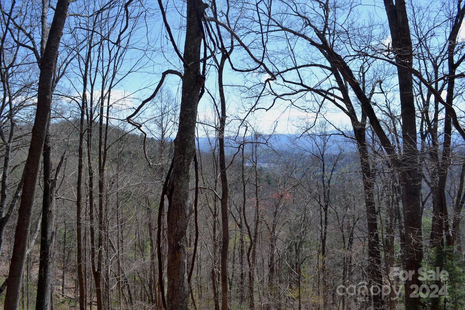 Lot 9 Town Mountain Road Property Photo 1