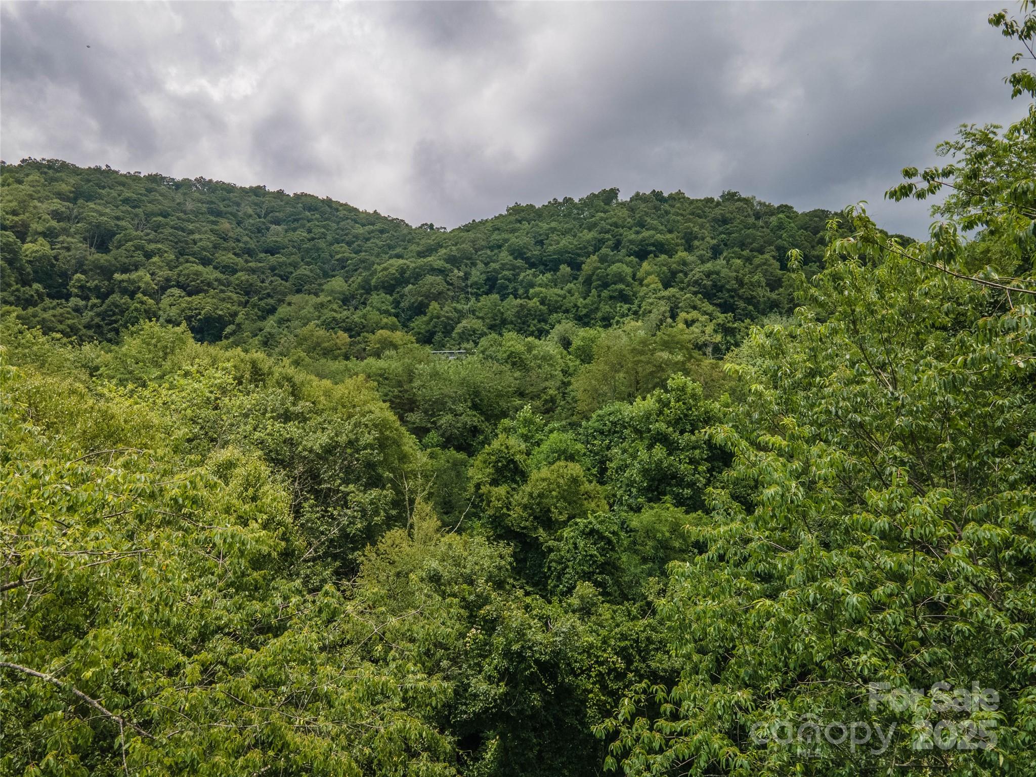 00 Troutman Trail Property Photo 15