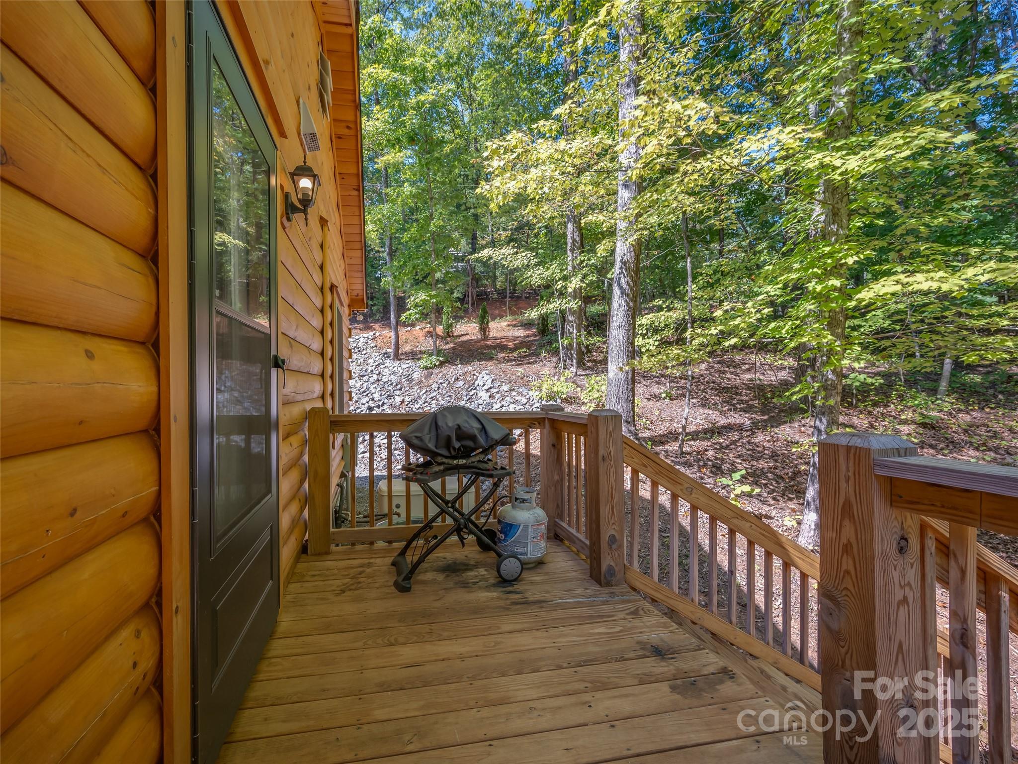 344 Wolf Trail Property Photo 5