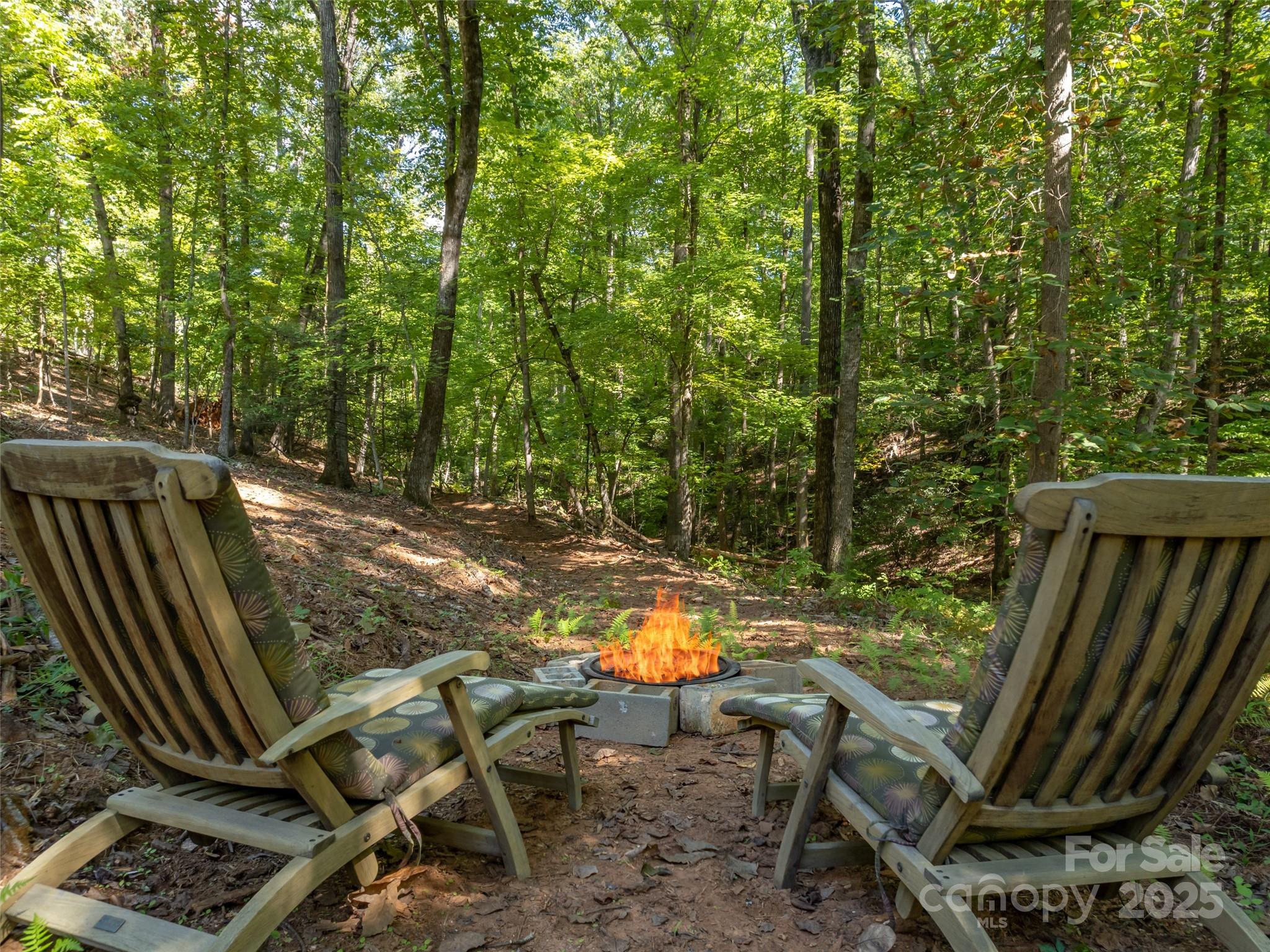 344 Wolf Trail Property Photo 32