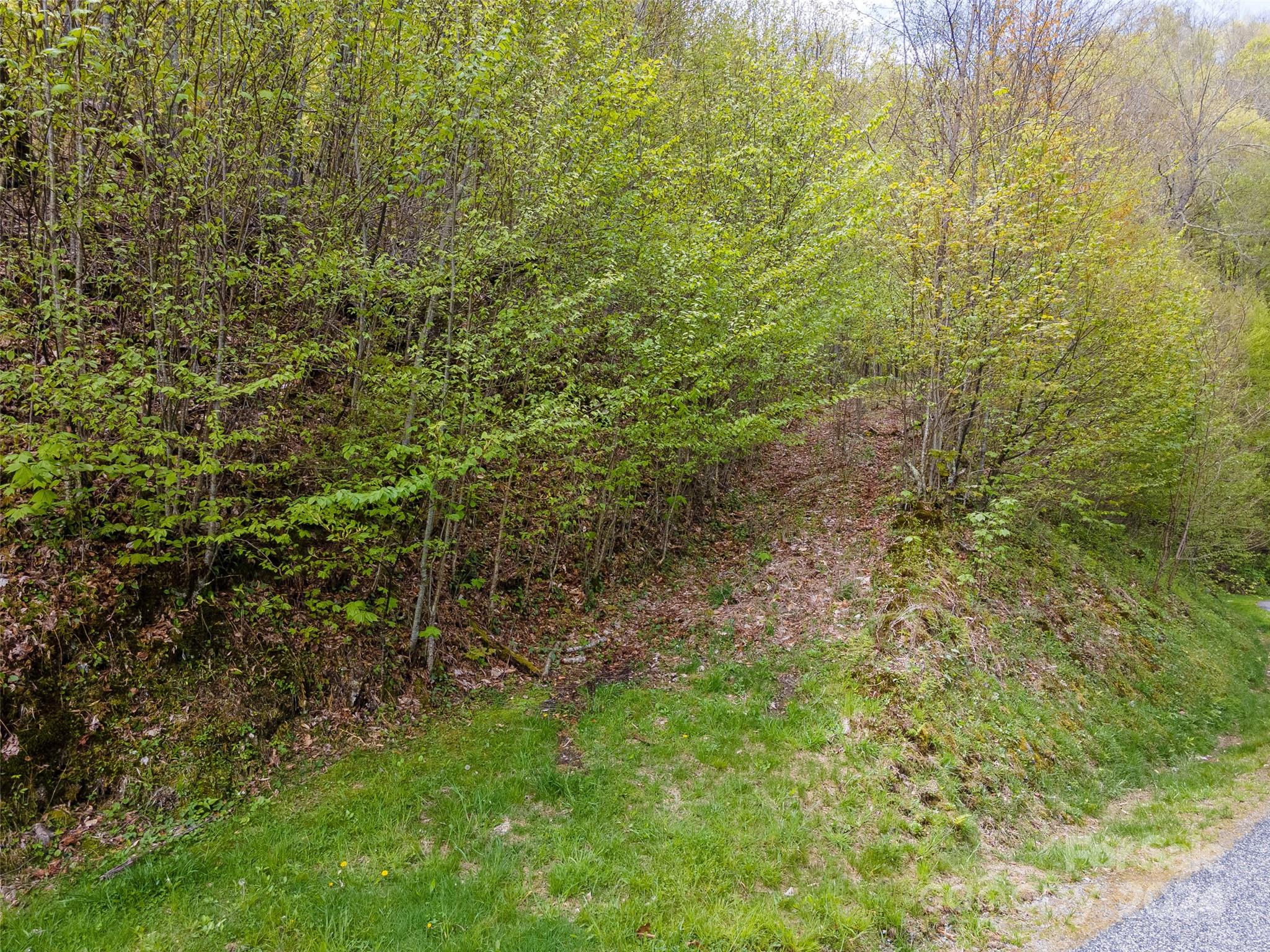 93 Goldenleaf Road 93 & 95 Property Photo 16