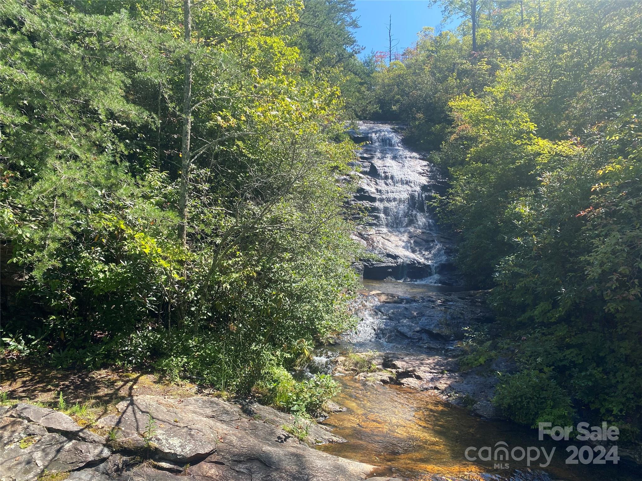 Lot 11 Fox Ridge Trail Property Photo 3