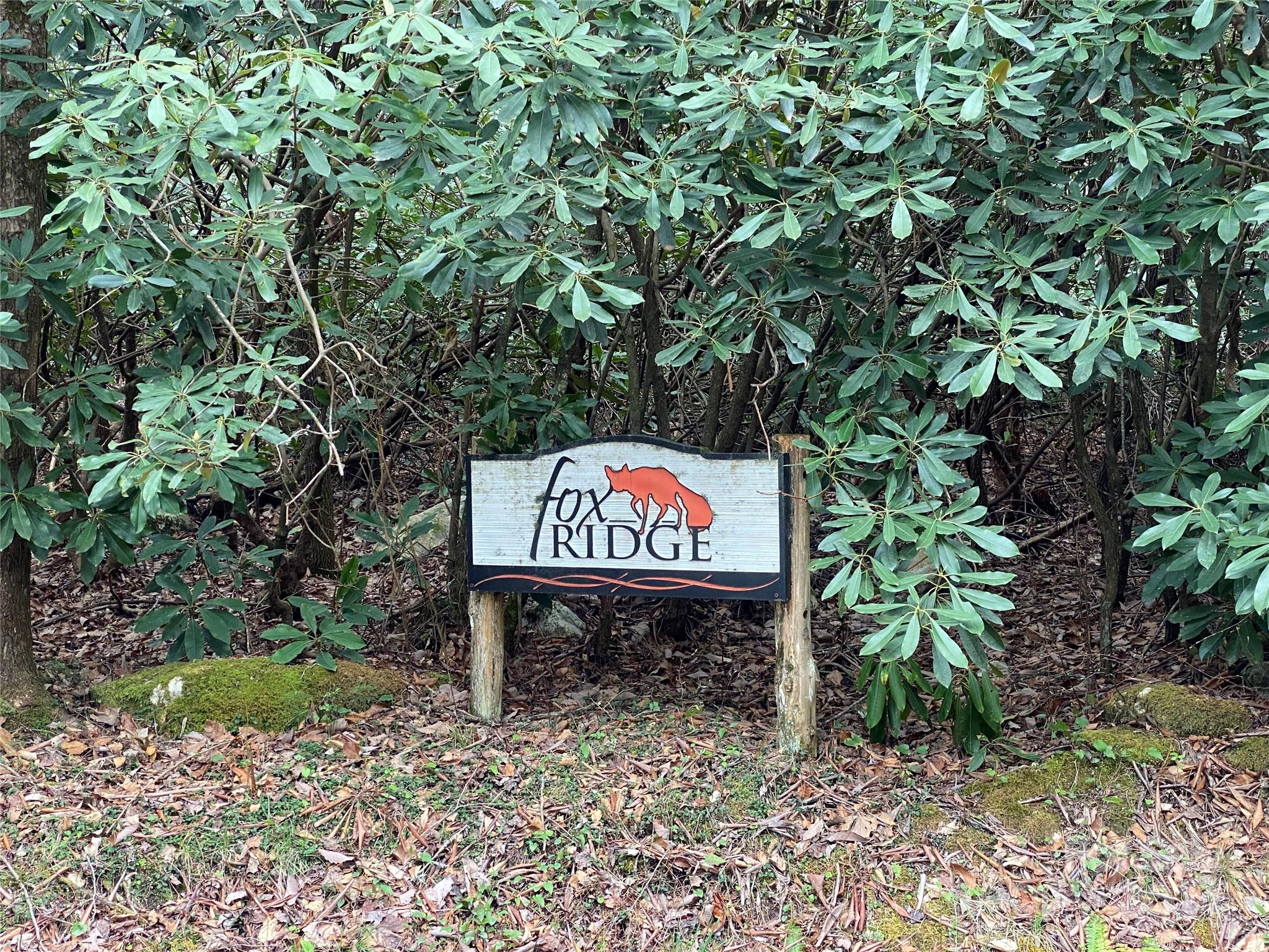 Lot 11 Fox Ridge Trail Property Photo 4