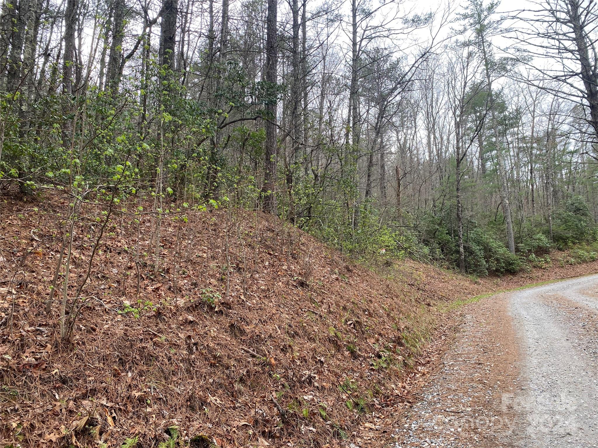 Lot 11 Fox Ridge Trail Property Photo 5
