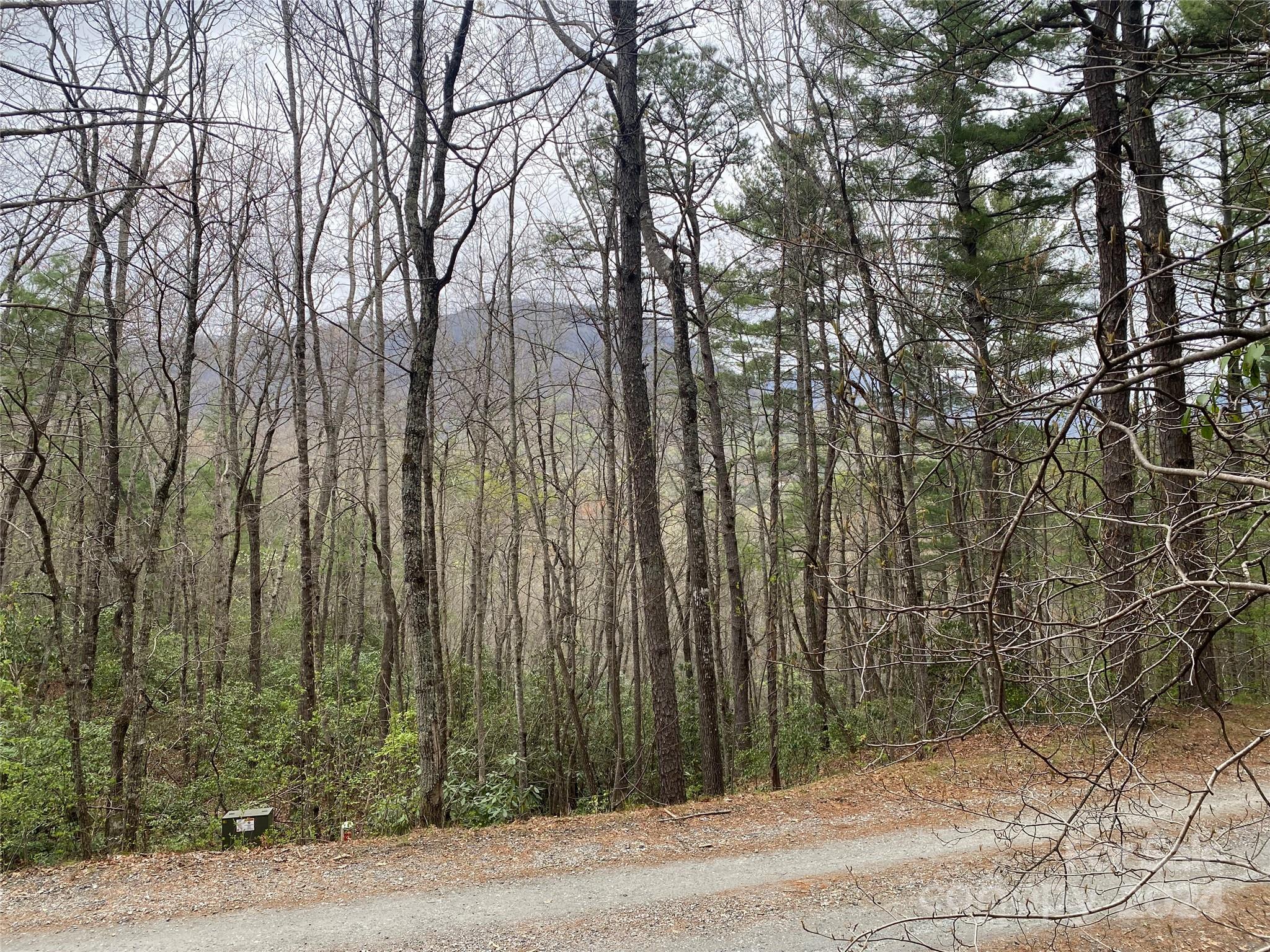 Lot 11 Fox Ridge Trail Property Photo 6