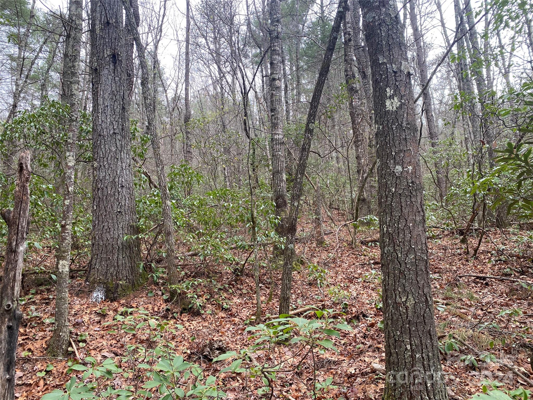 Lot 11 Fox Ridge Trail Property Photo 7