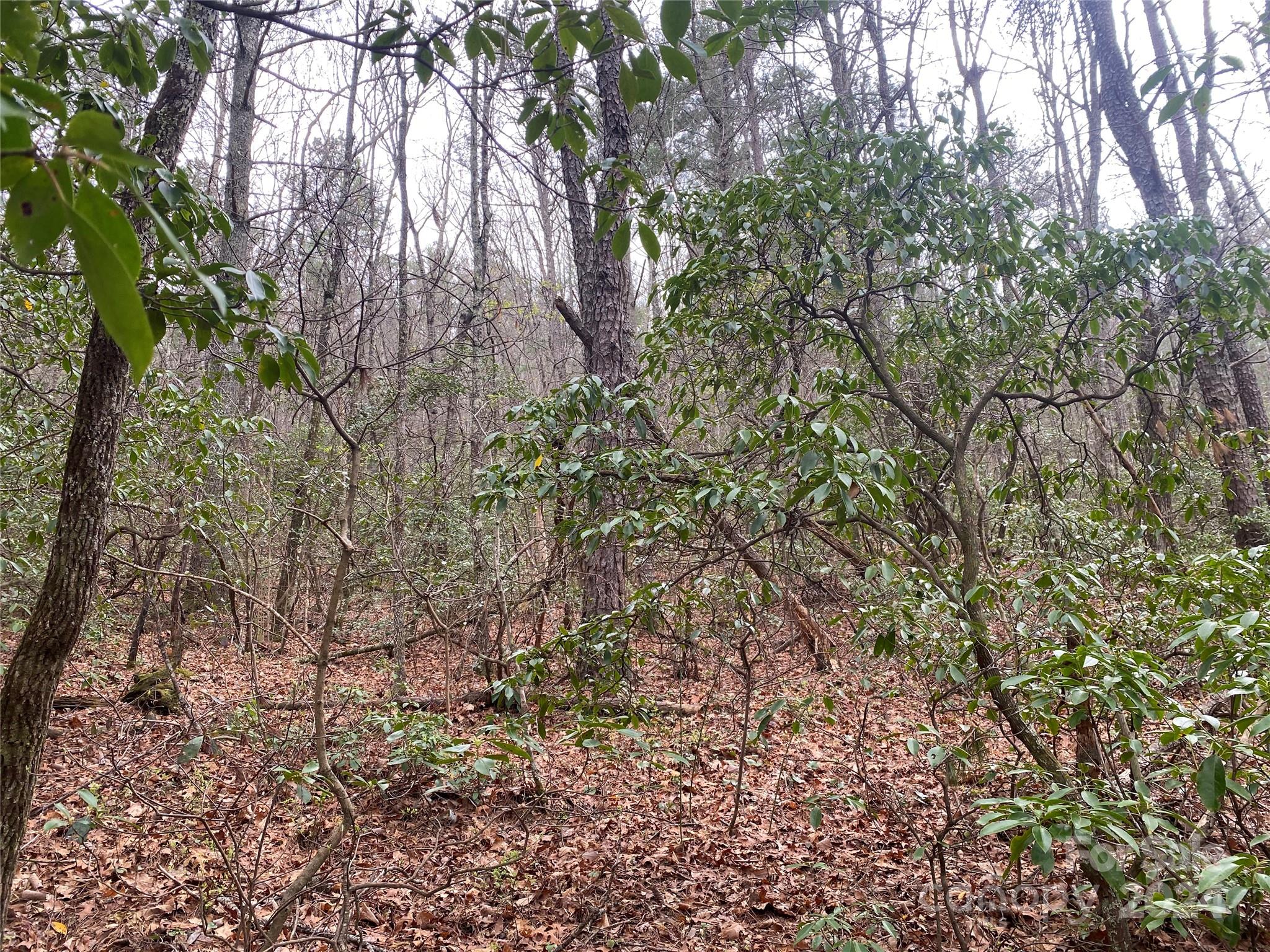 Lot 11 Fox Ridge Trail Property Photo 8