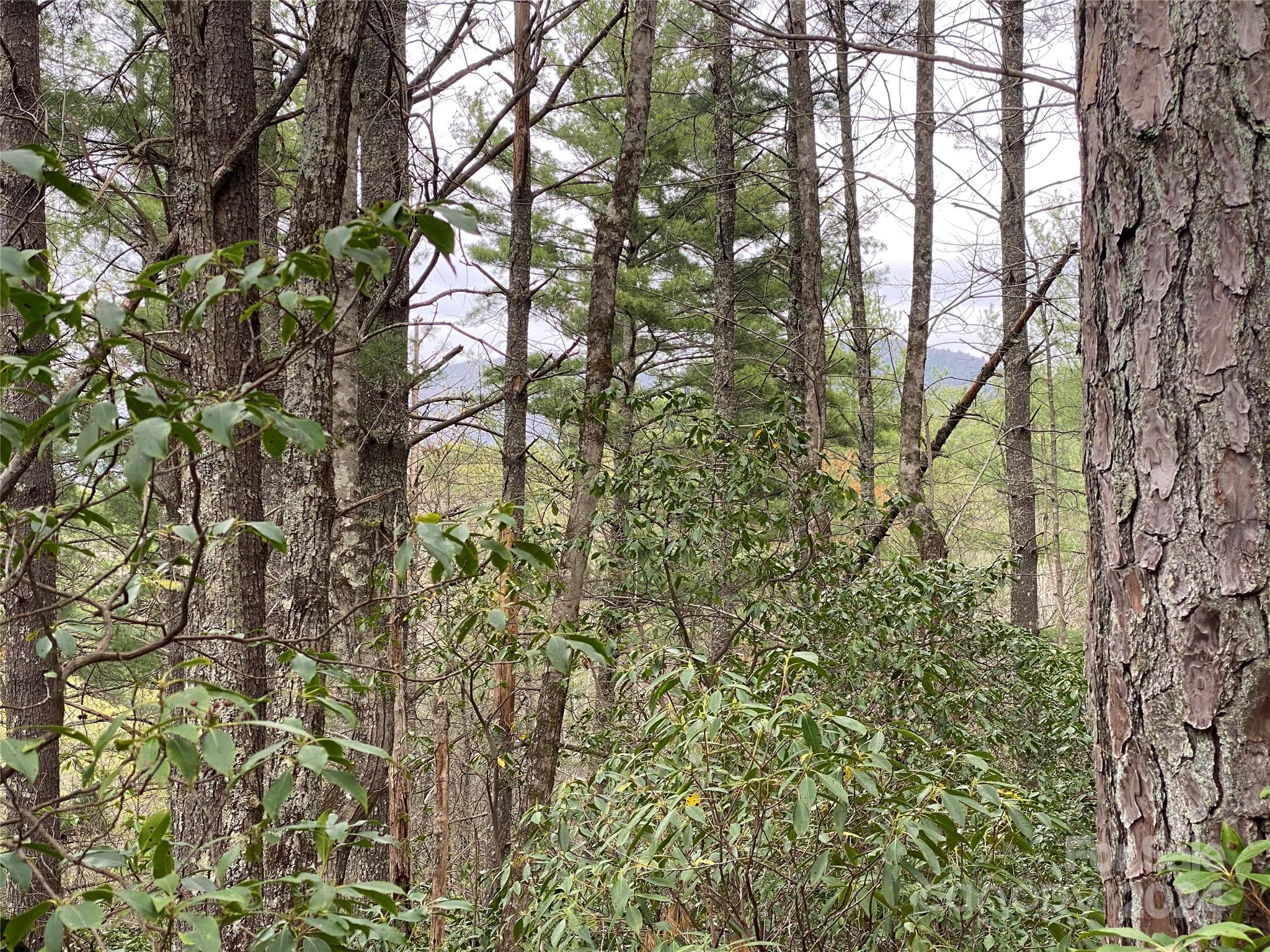 Lot 11 Fox Ridge Trail Property Photo 9