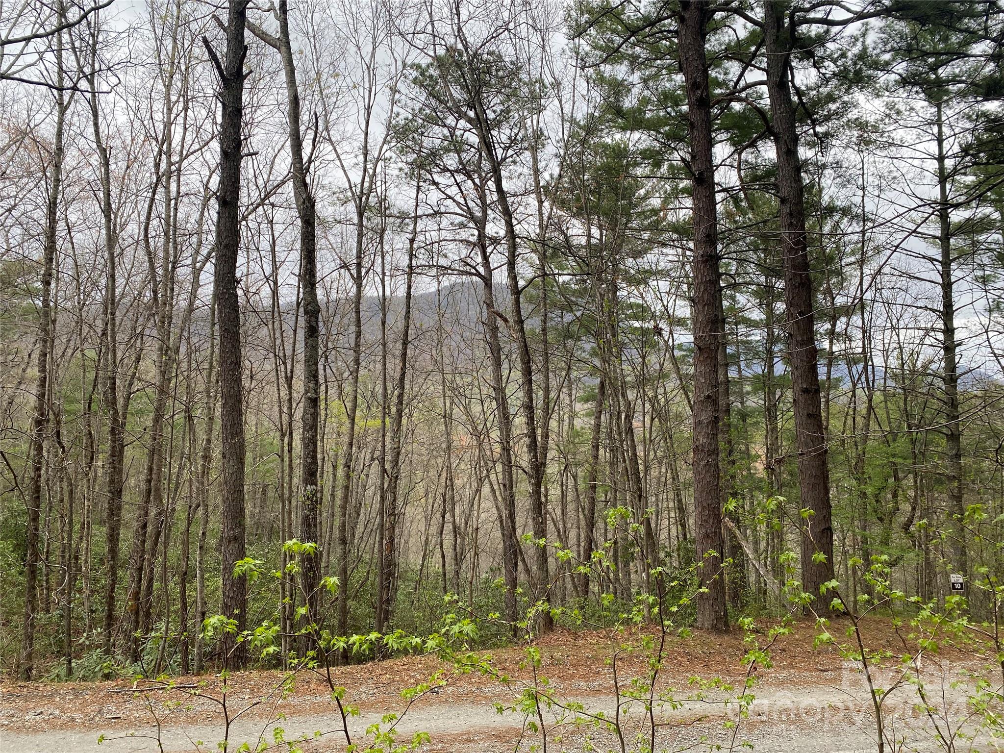 Lot 11 Fox Ridge Trail Property Photo 10