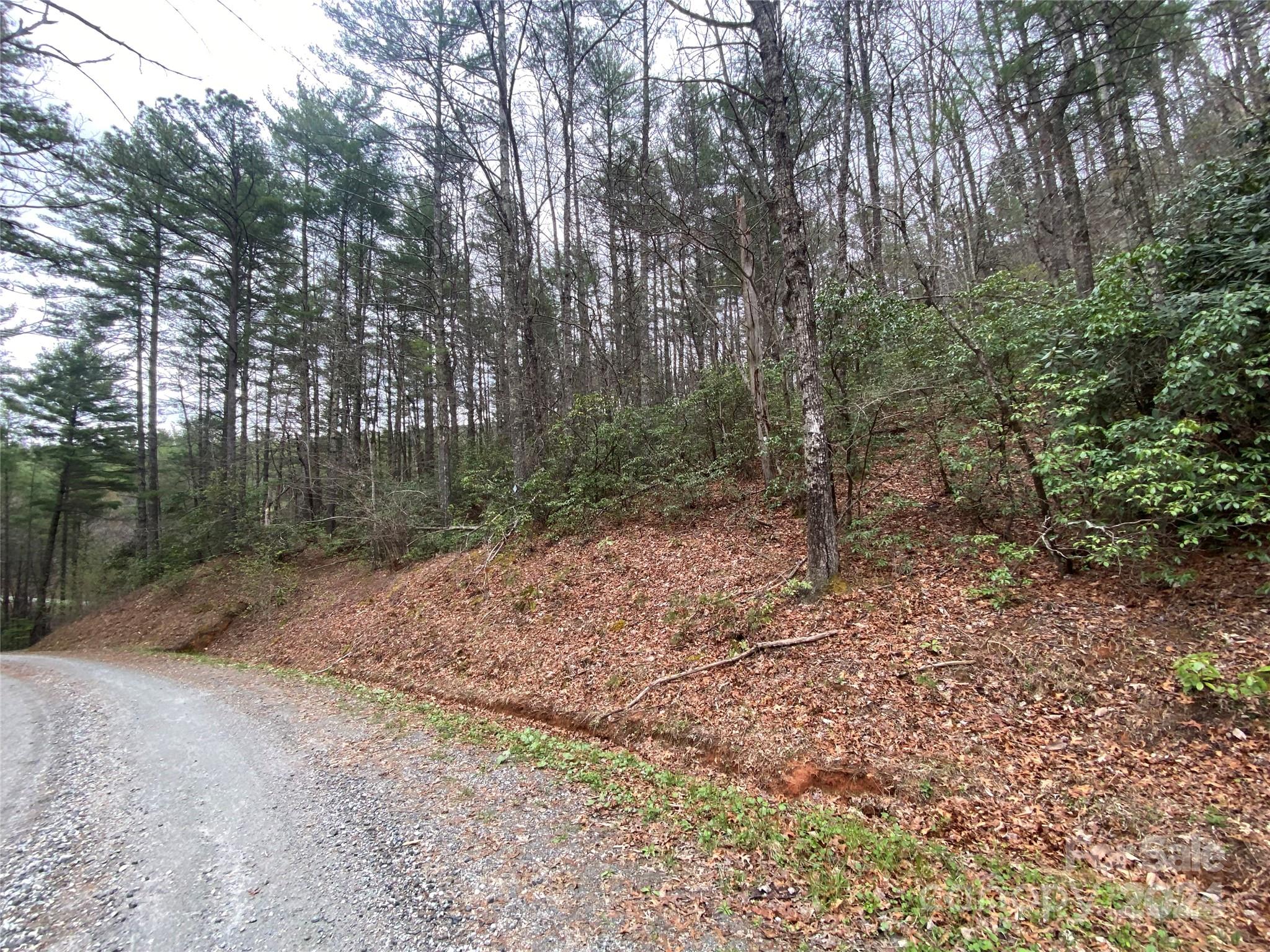 Lot 11 Fox Ridge Trail Property Photo 11