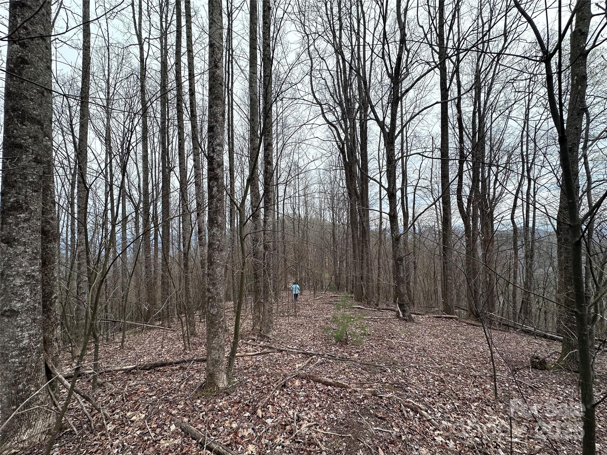 0000 Anderson Cove Road Property Photo 31