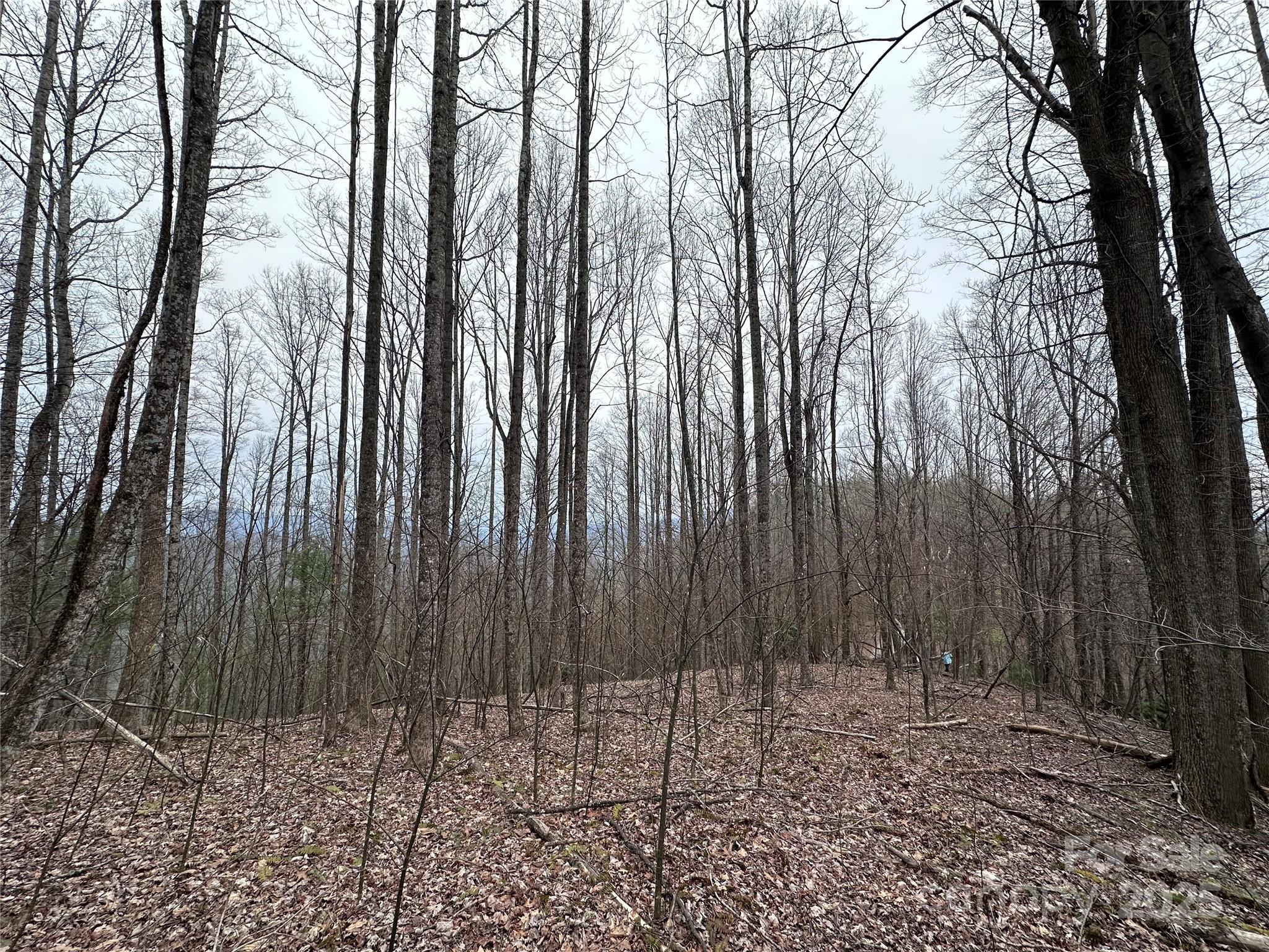 0000 Anderson Cove Road Property Photo 35