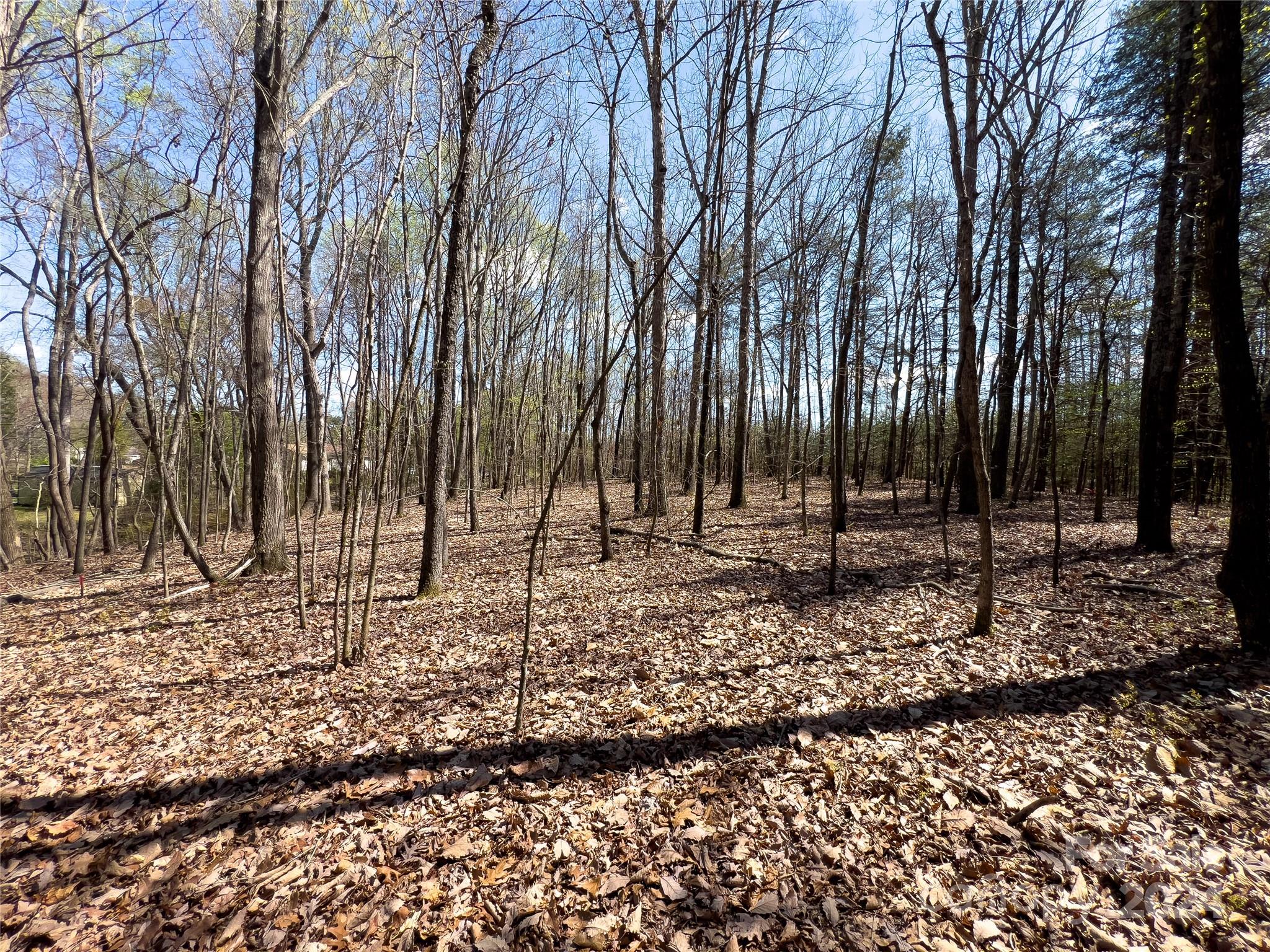 621 Maple Street Property Photo 5