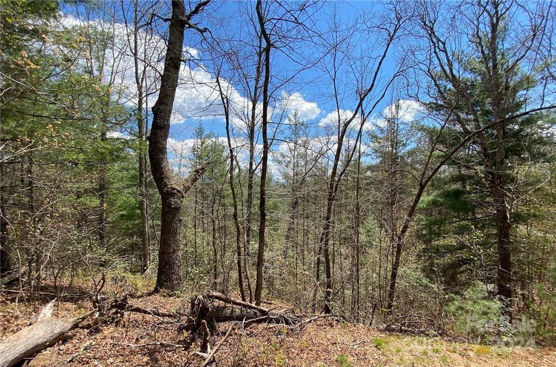 Lot 3 On Saturn Way 3 Property Photo 6