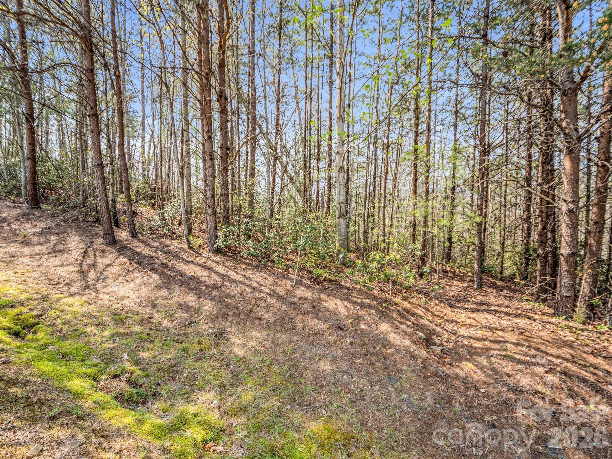 0 Chestertown Drive Property Photo 8