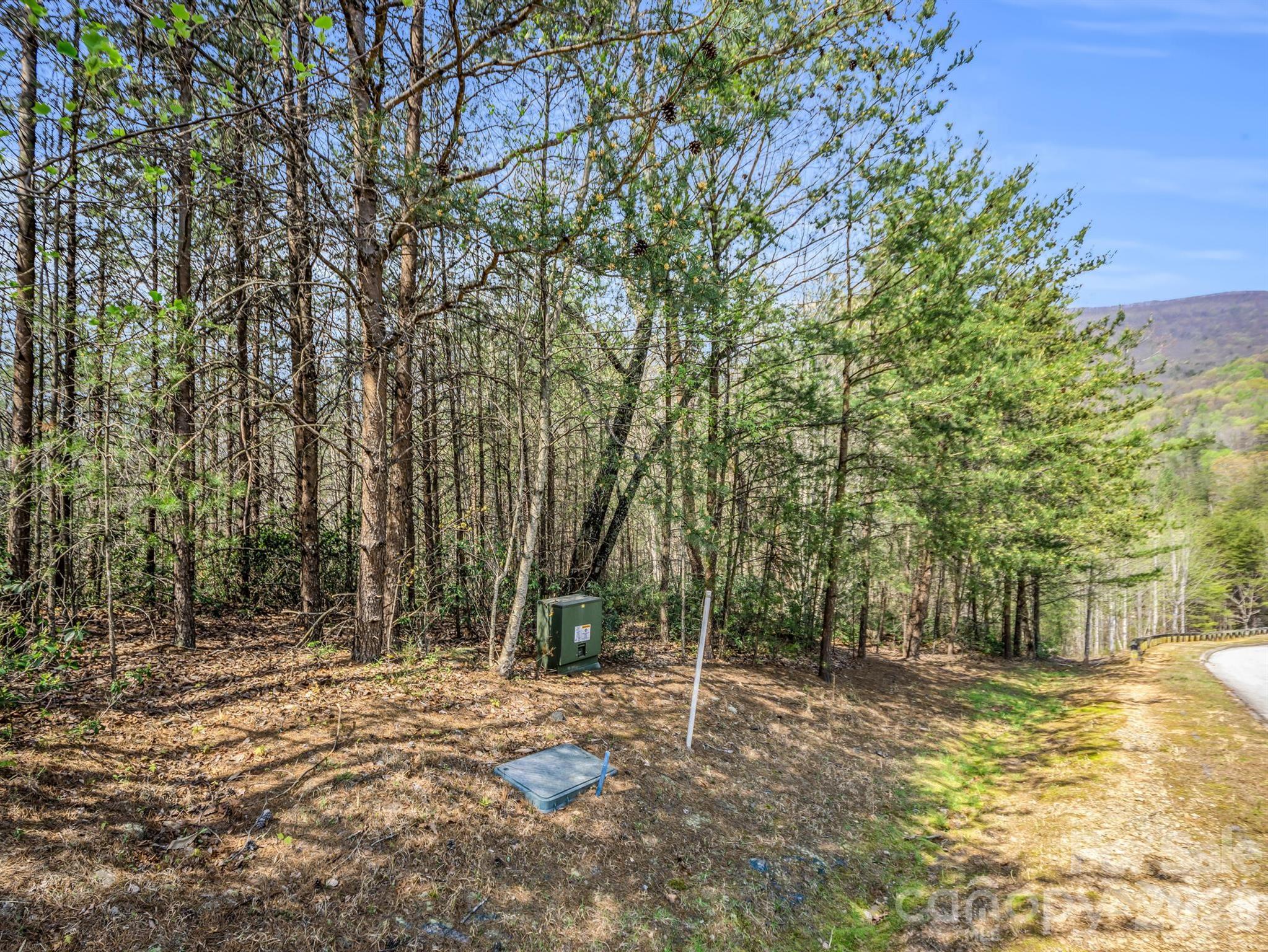 0 Chestertown Drive Property Photo 10
