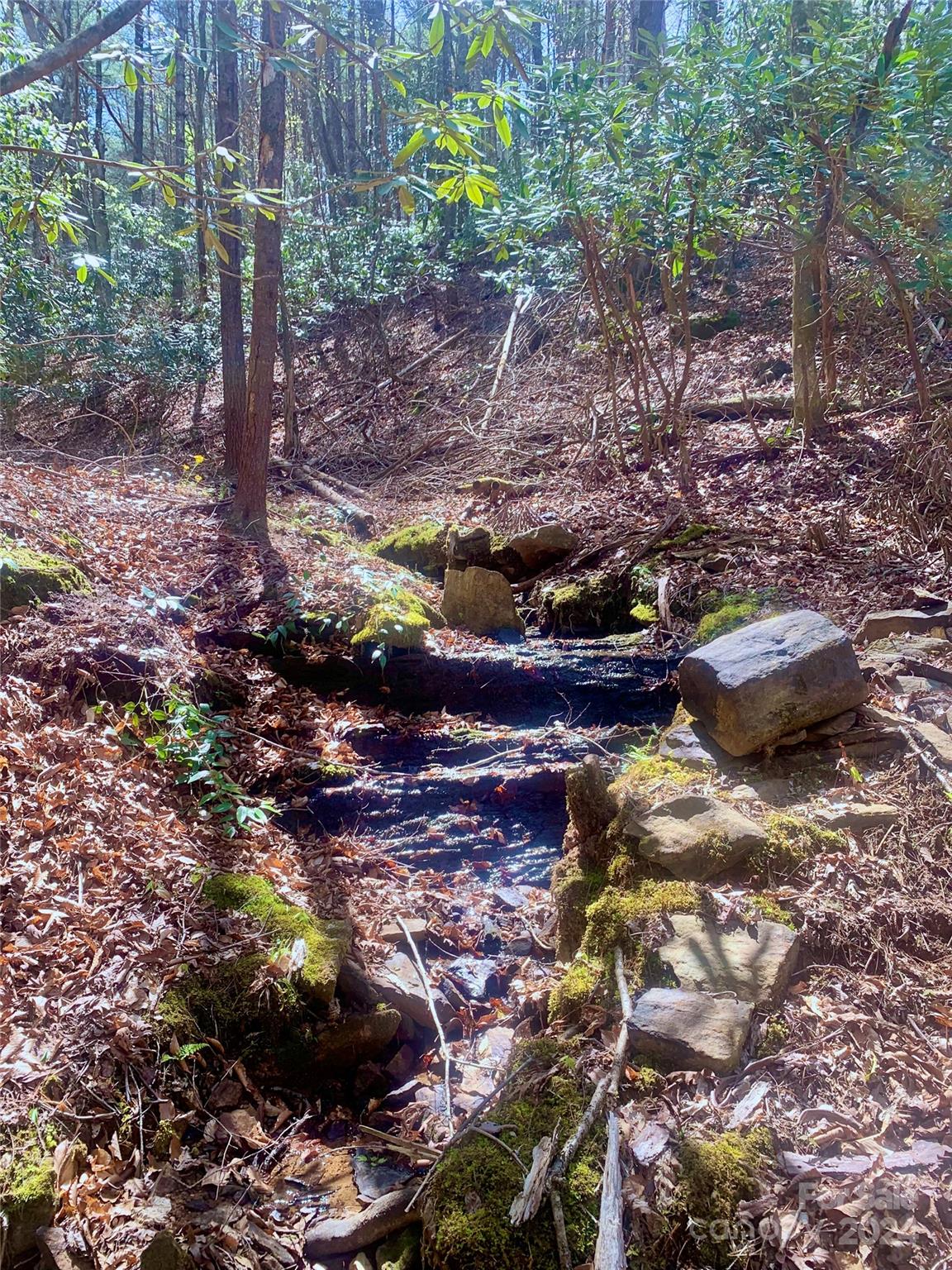 4.73 Acres, Lot 376 Table View Lane 376 Property Photo 3