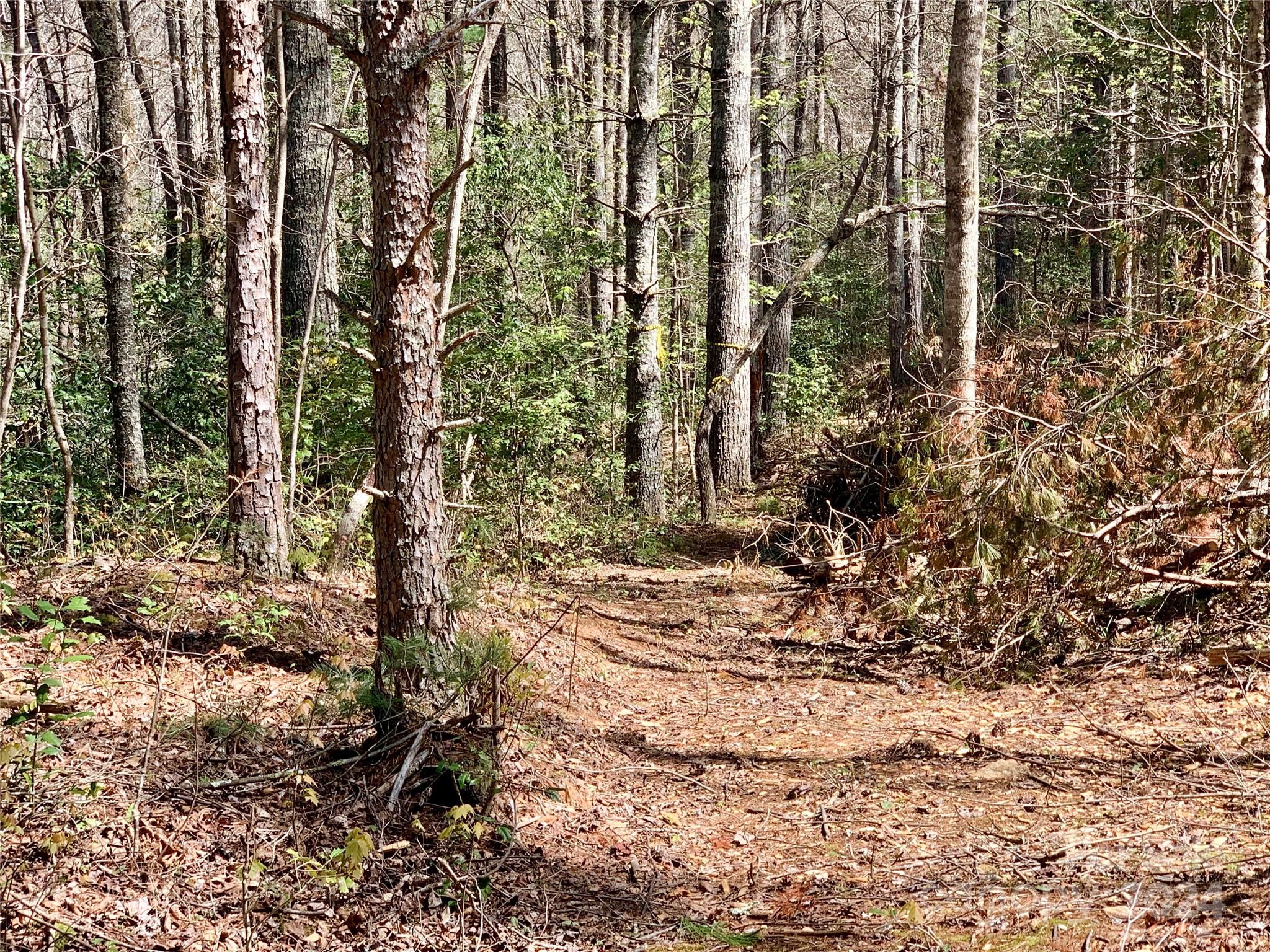 4.73 Acres, Lot 376 Table View Lane 376 Property Photo 5