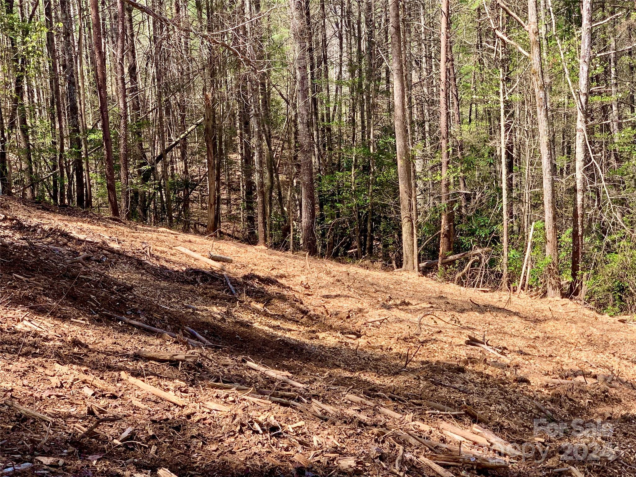 4.73 Acres, Lot 376 Table View Lane 376 Property Photo 6