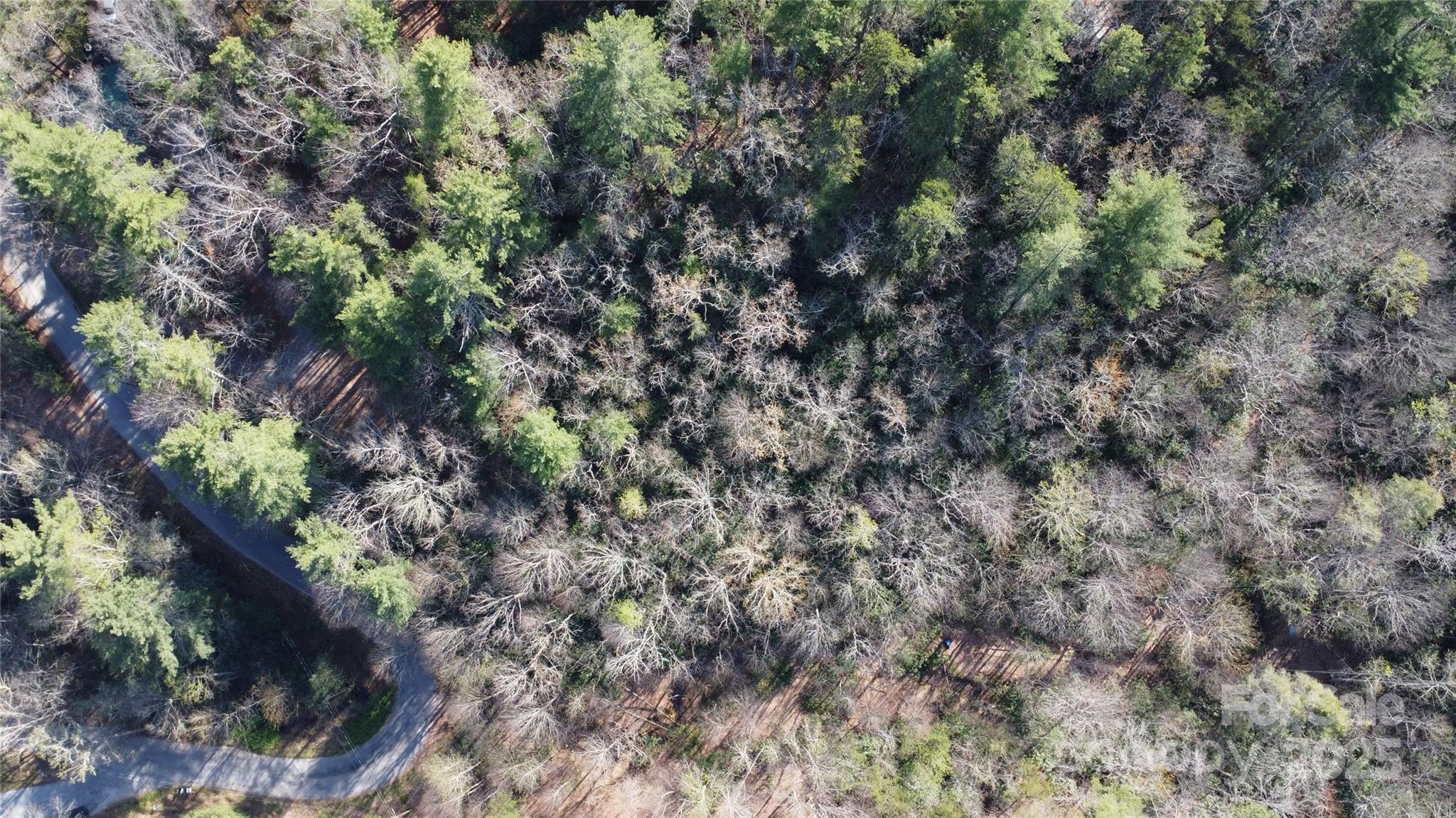 217 Oak Ridge Road Property Photo 2