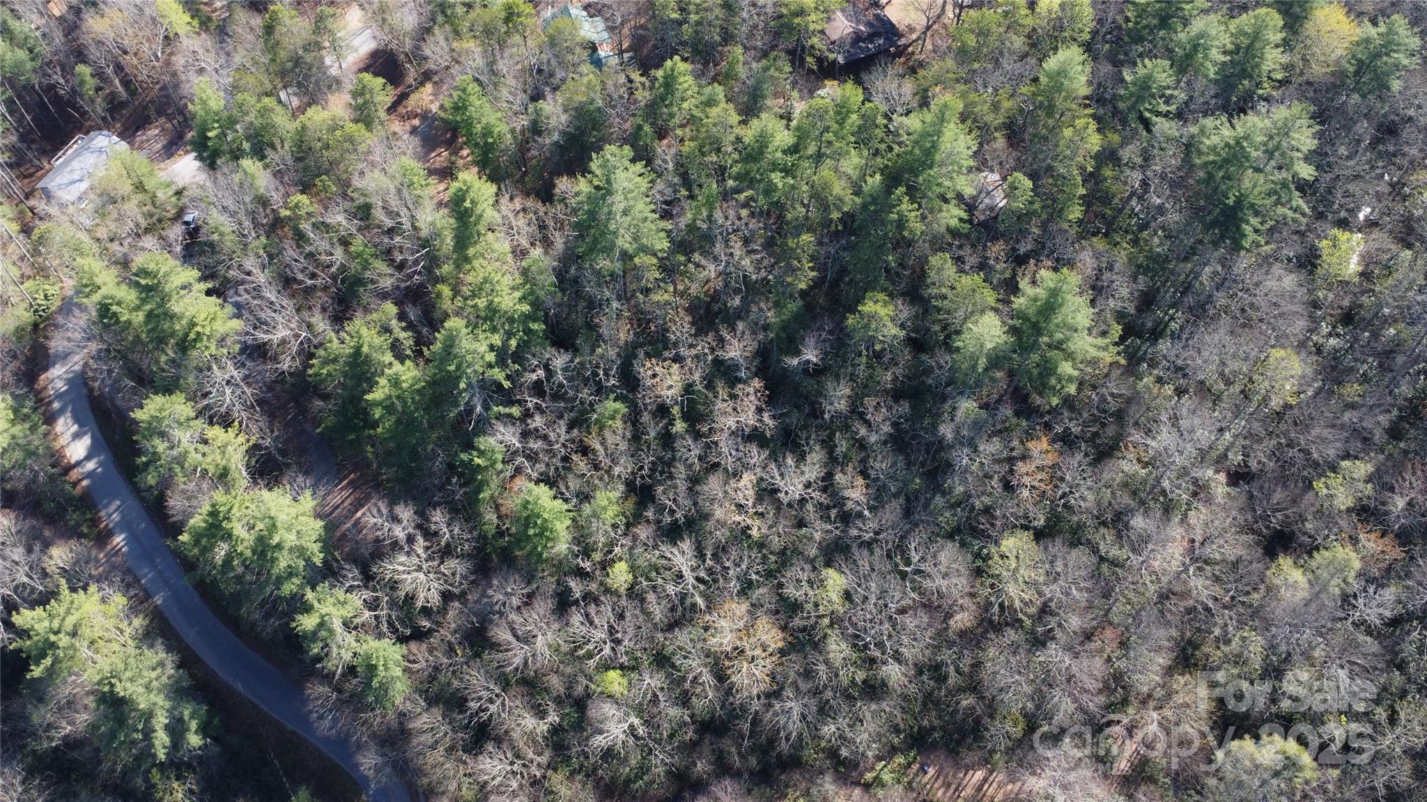 217 Oak Ridge Road Property Photo 3