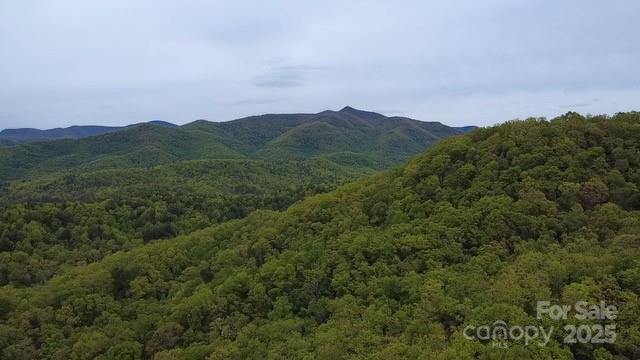 25 Sweetwater Ridge Road Property Photo 1